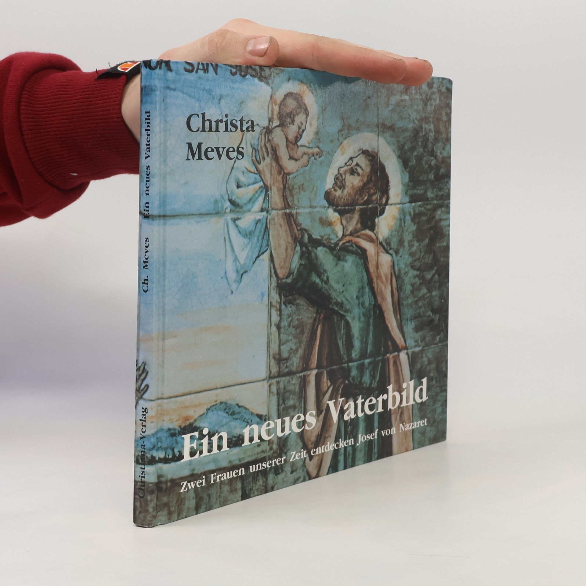 Christa Meves Ein neues Vaterbild