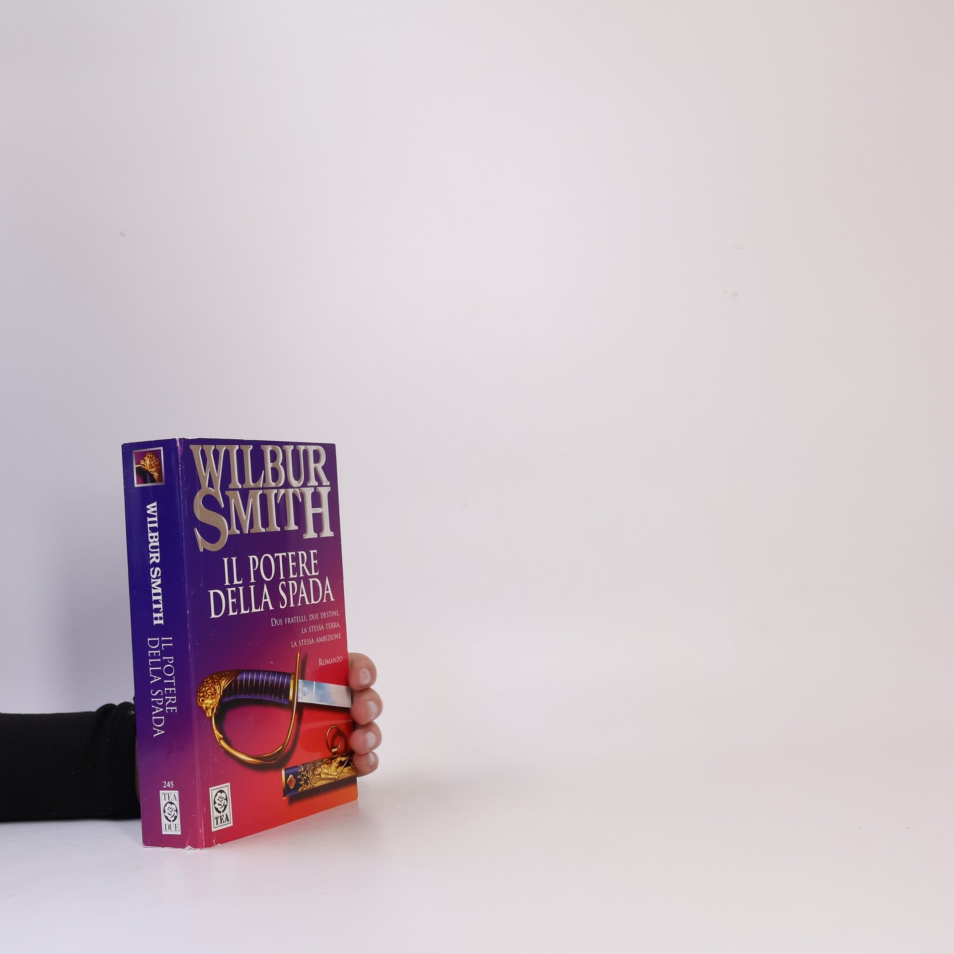Wilbur A. Smith Il potere della spada