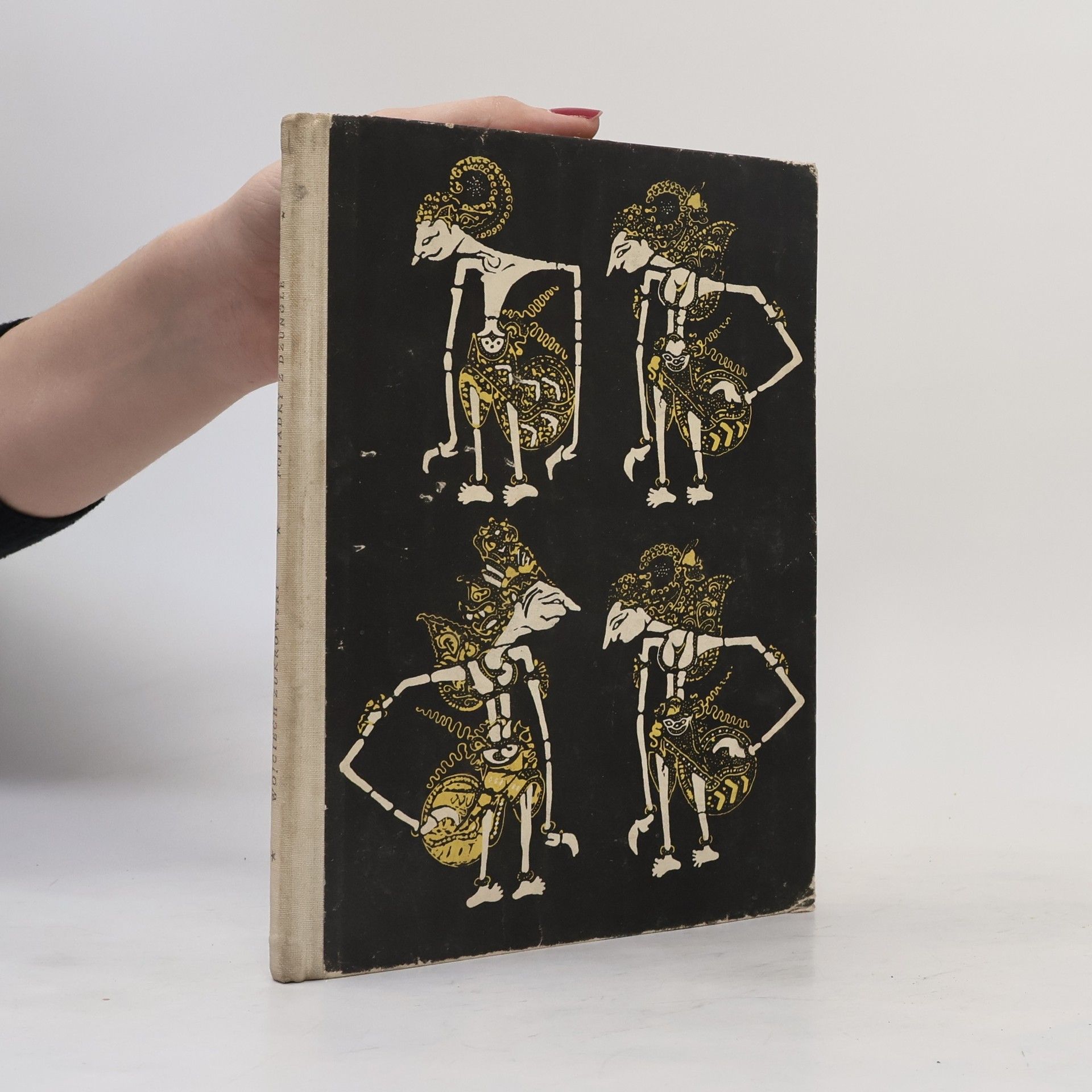 Žukrowski Wojciech Pohádky z džungle