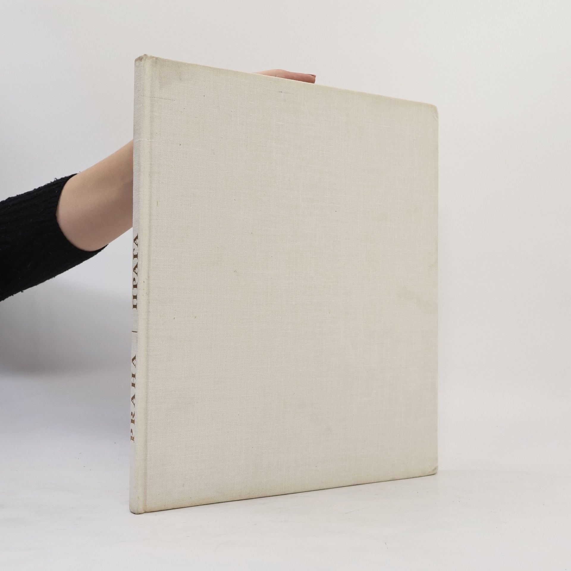 Kolektiv autorů Praha. Прага