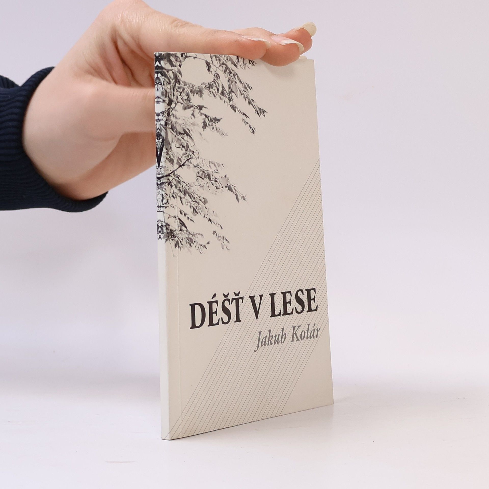 Jakub Kolár Déšť v lese