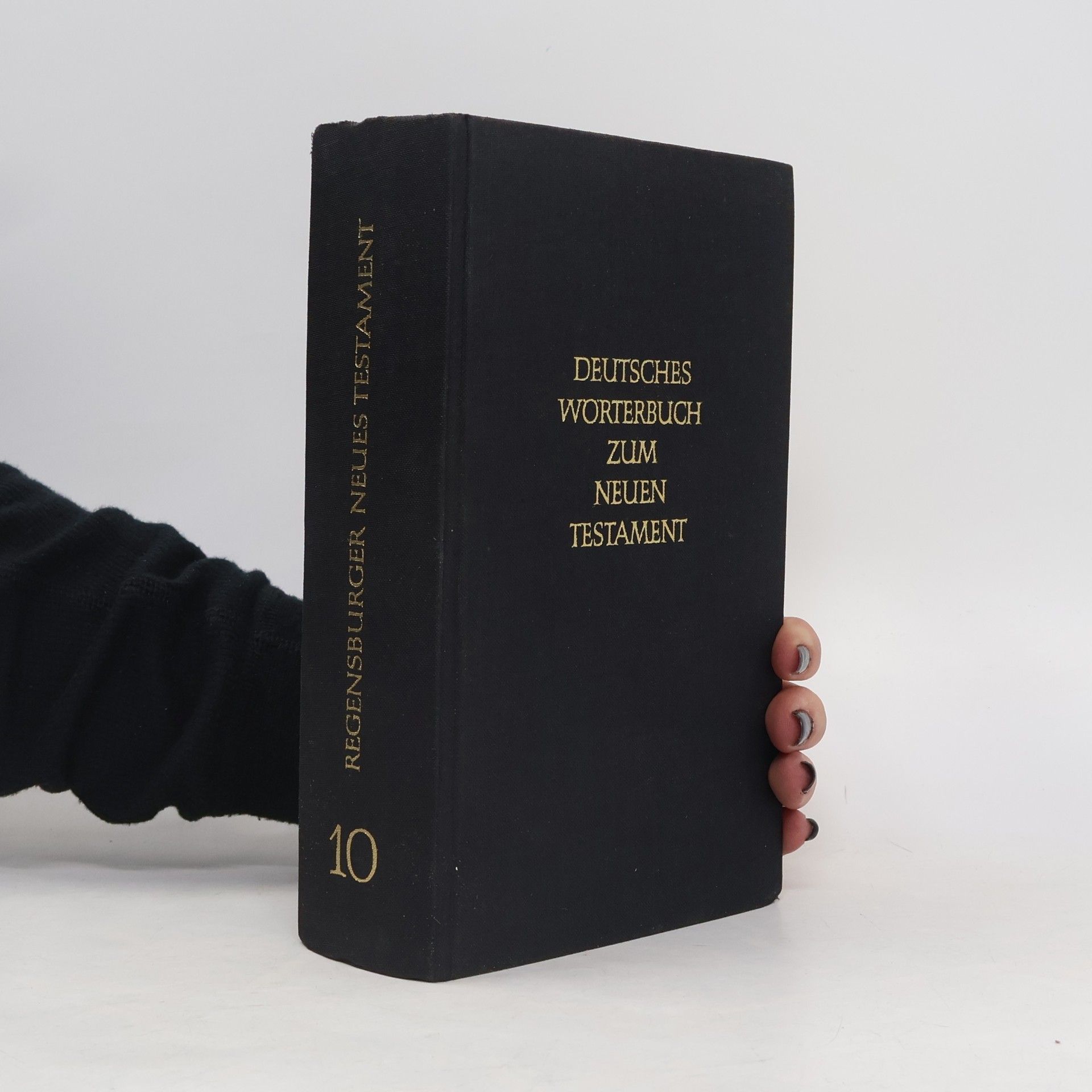 Autorenkollektiv Regensburger Neues Testament. Deutsches Wörterbuch zum Neuen Testament. 10