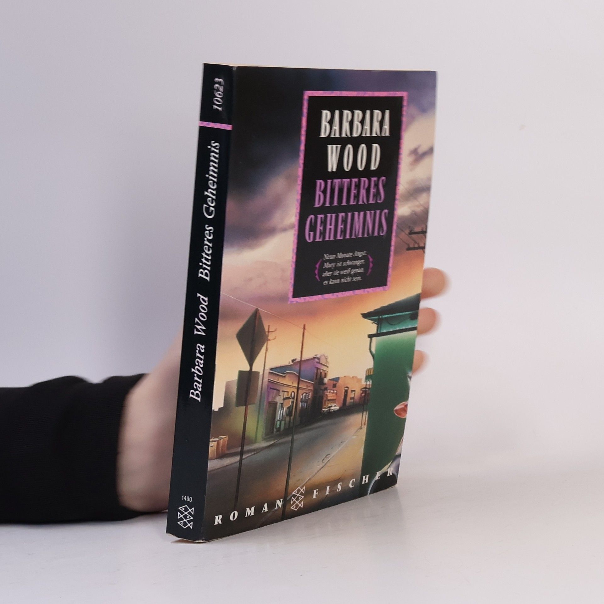 Barbara Wood Bitteres Geheimnis