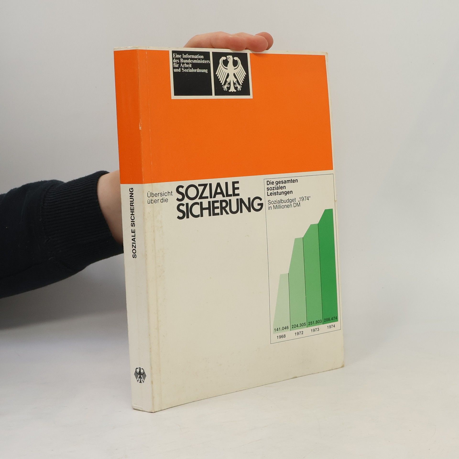 Autorenkollektiv Übersicht über die soziale Sicherung