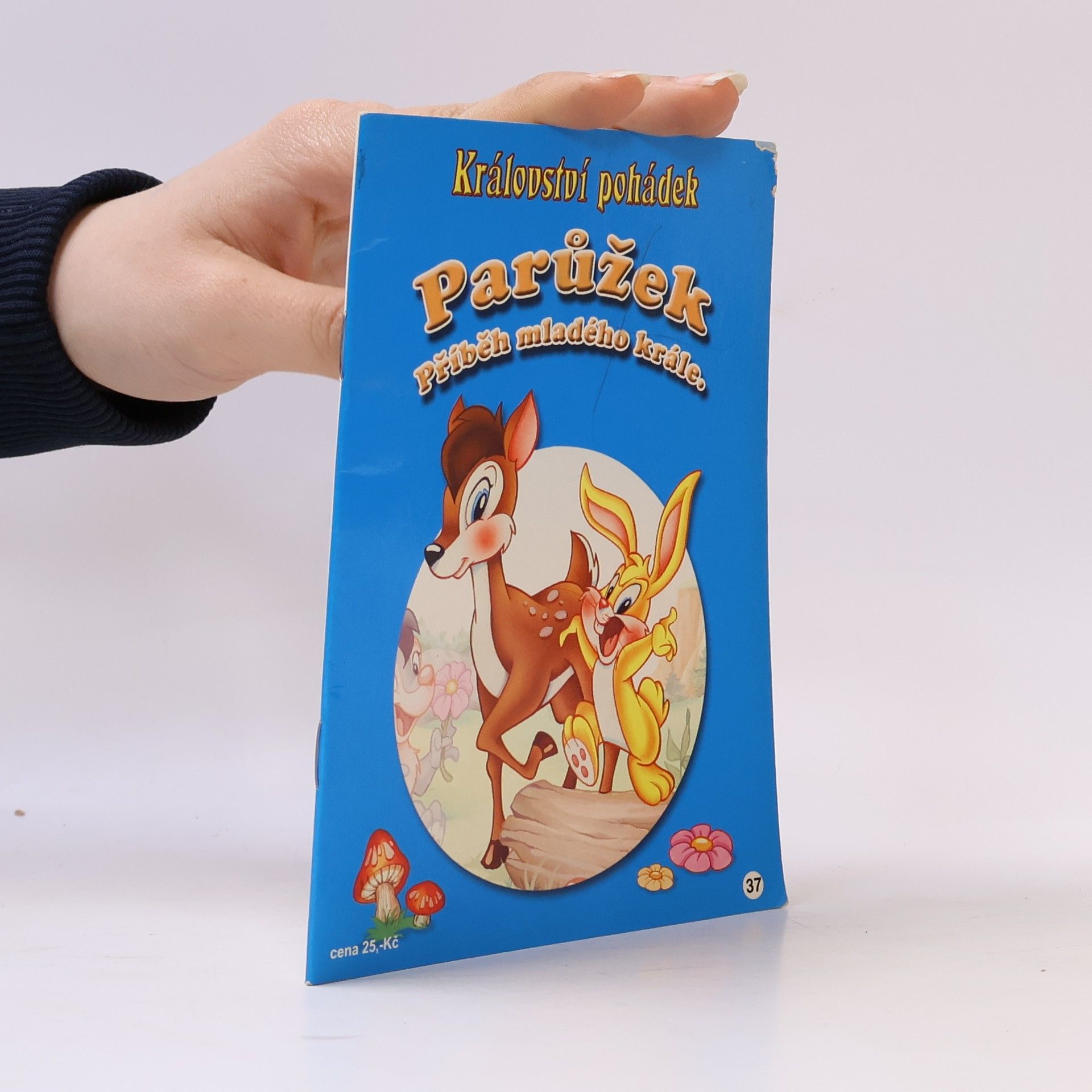Kolektiv autorů Království pohádek. Parůžek. Příběh mladého krále