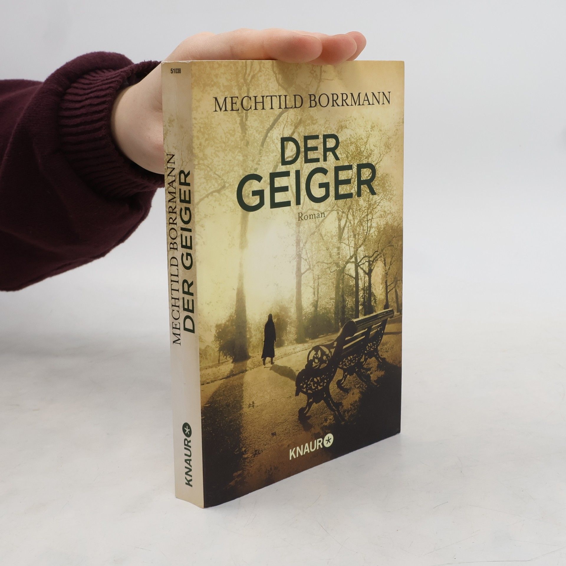 Mechtild Borrmann Der Geiger