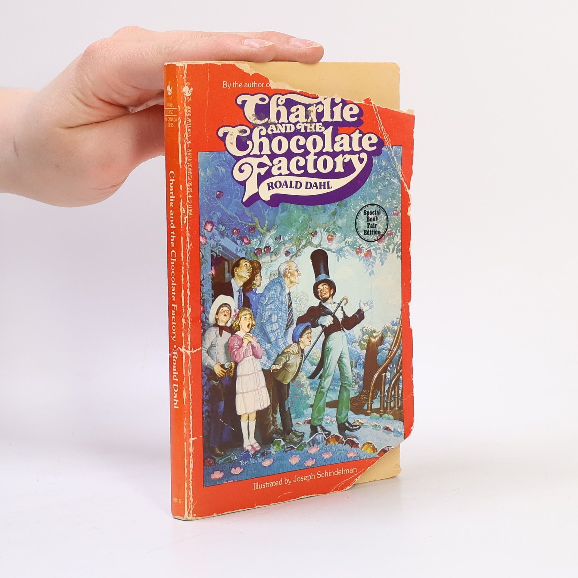 Roald Dahl Charlie and the Chocolate Factory