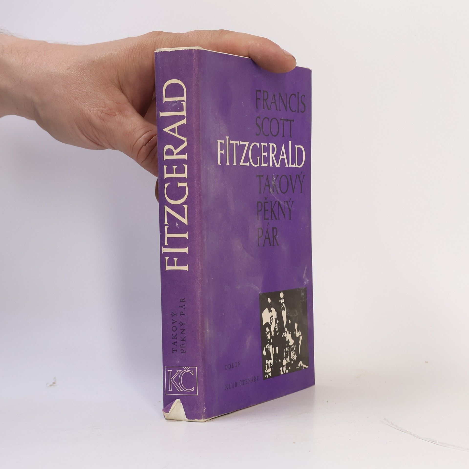 Francis Scott Fitzgerald Takový pěkný pár a jiné povídky