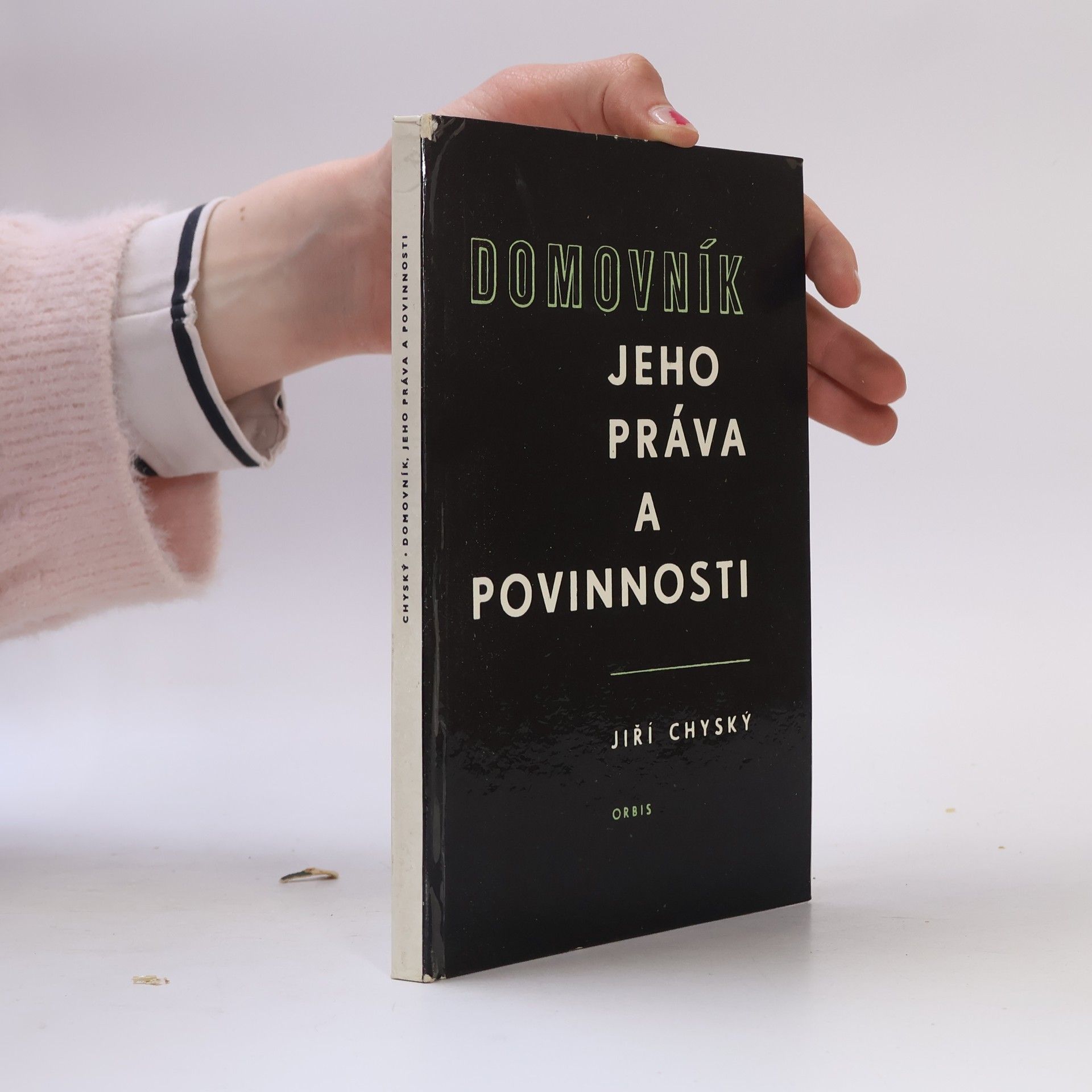 Jiří Chyský Domovník. Jeho práva a povinnosti