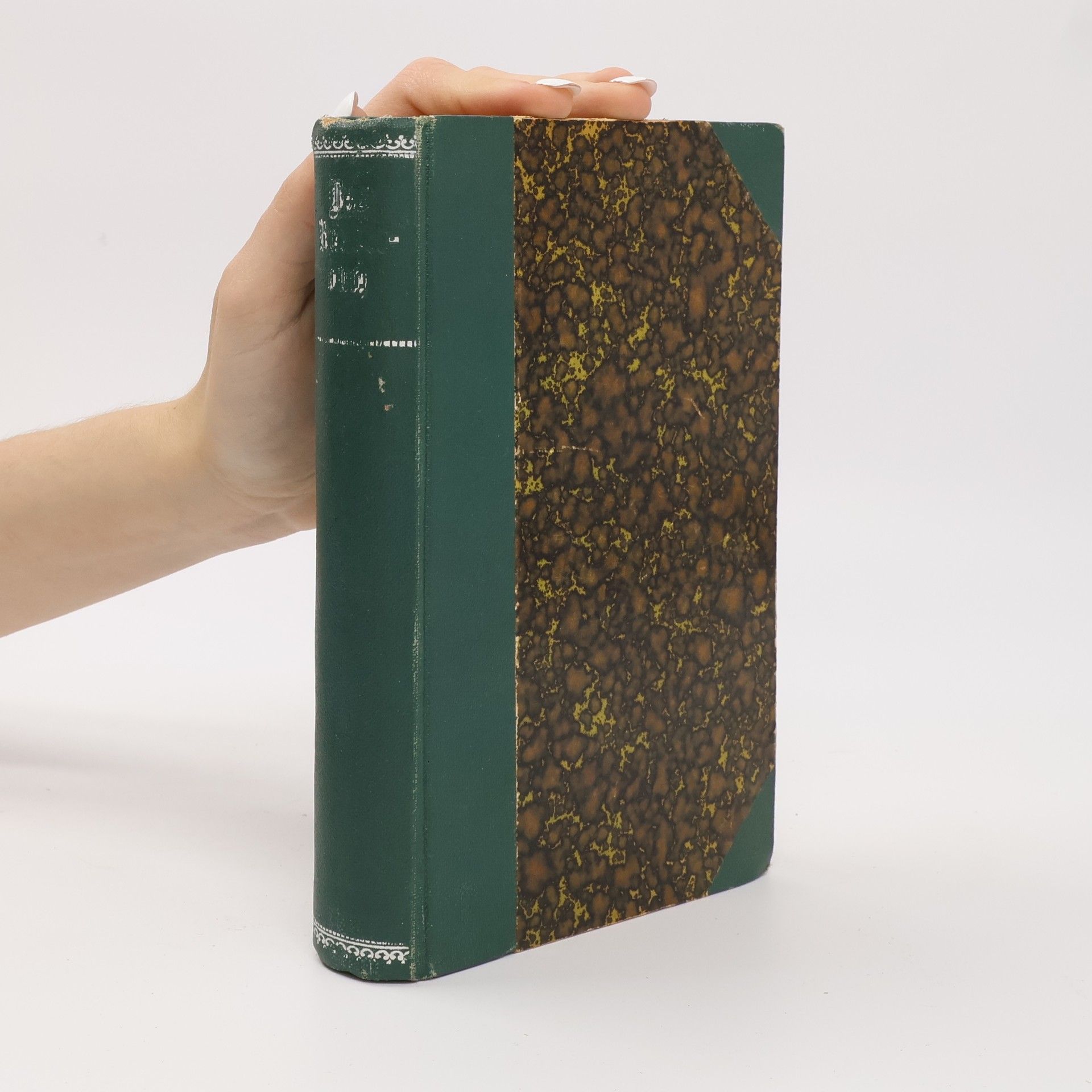 Arthur Friedrich Binz  Das Räuberbuch