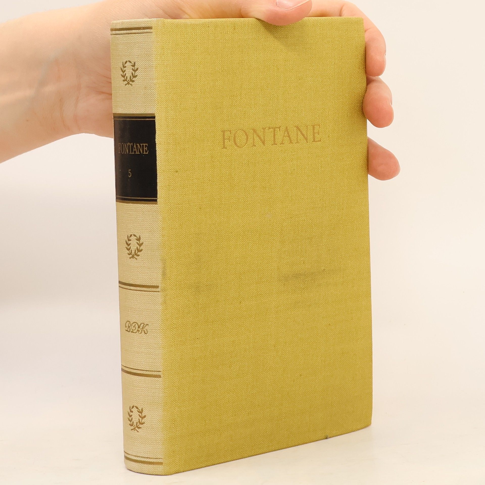 Theodor Fontane Fontanes Werke. Band 5