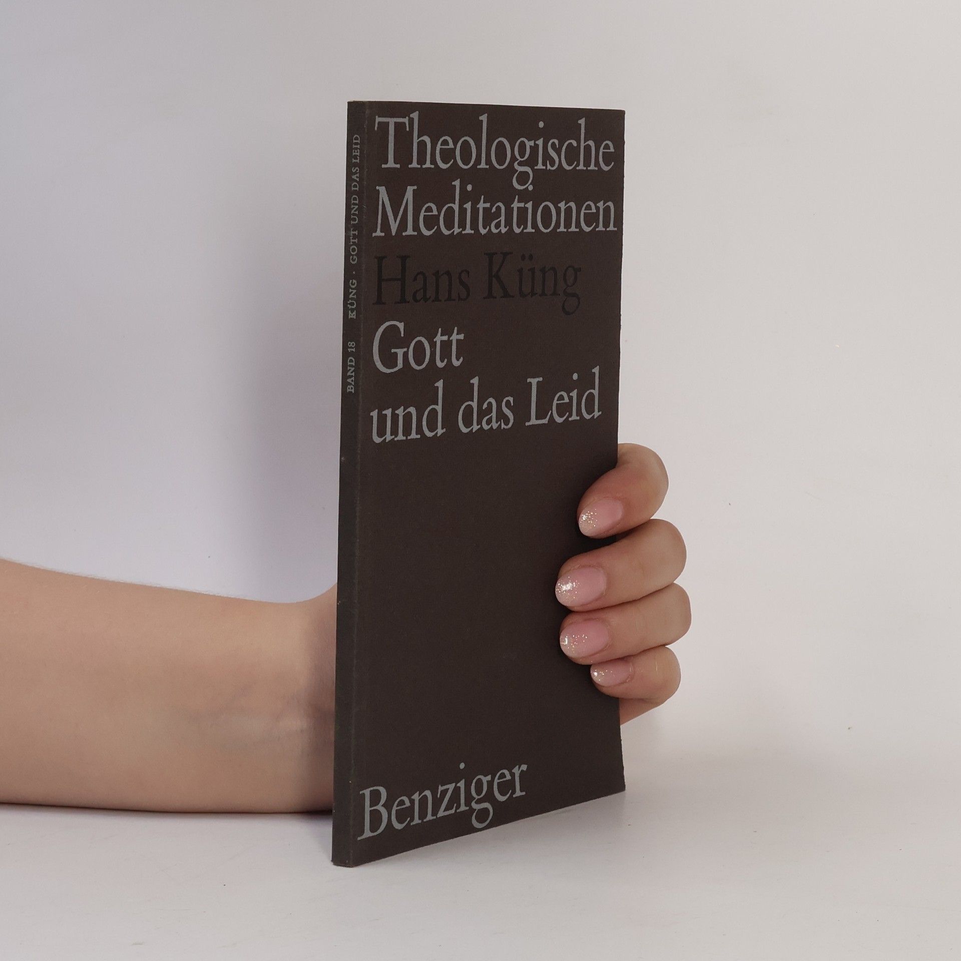 Hans Küng Gott und das Leid