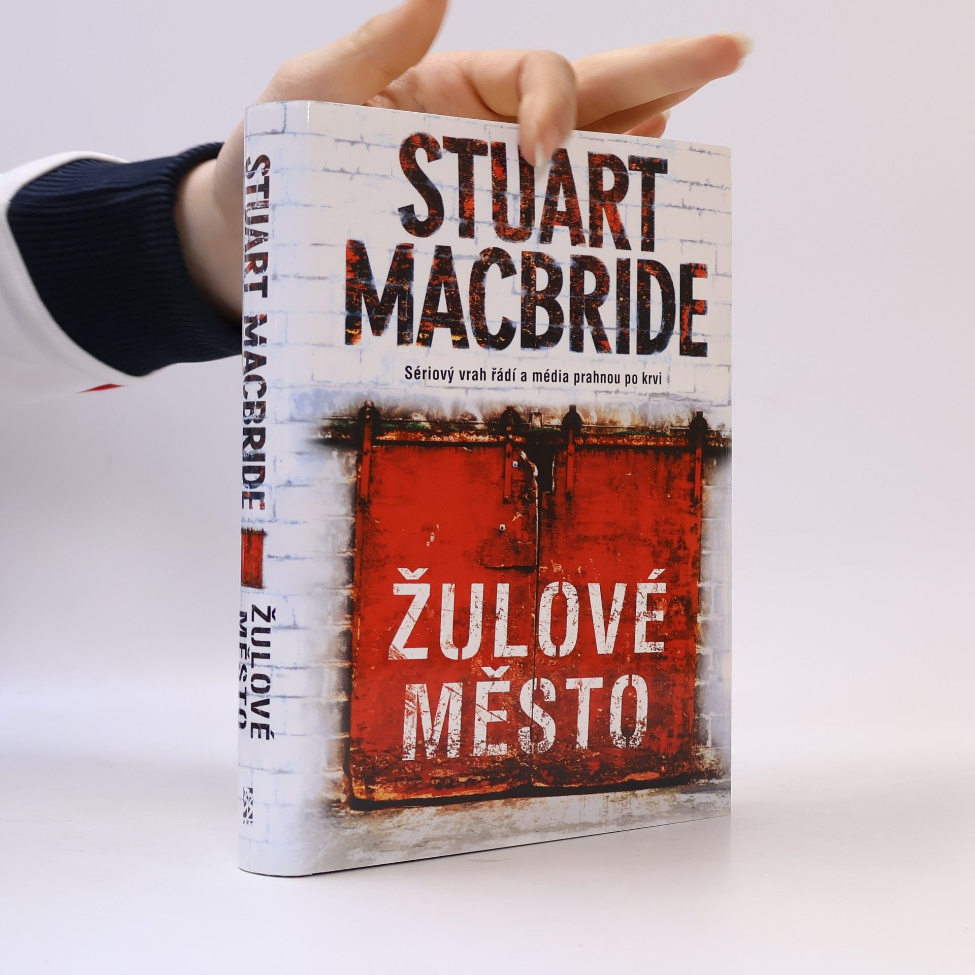Stuart Macbride Žulové město