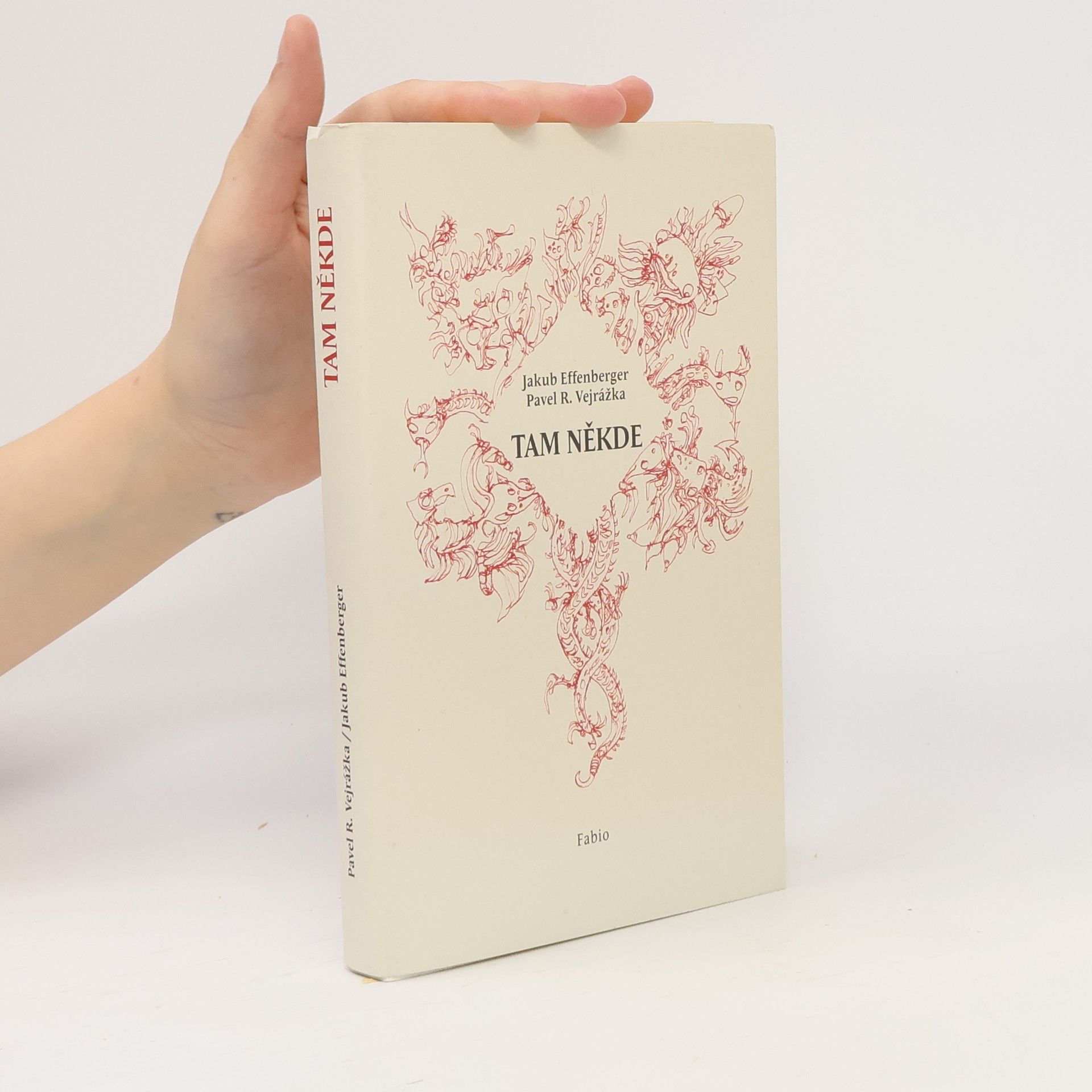 Pavel R. Vejrážka Tam někde