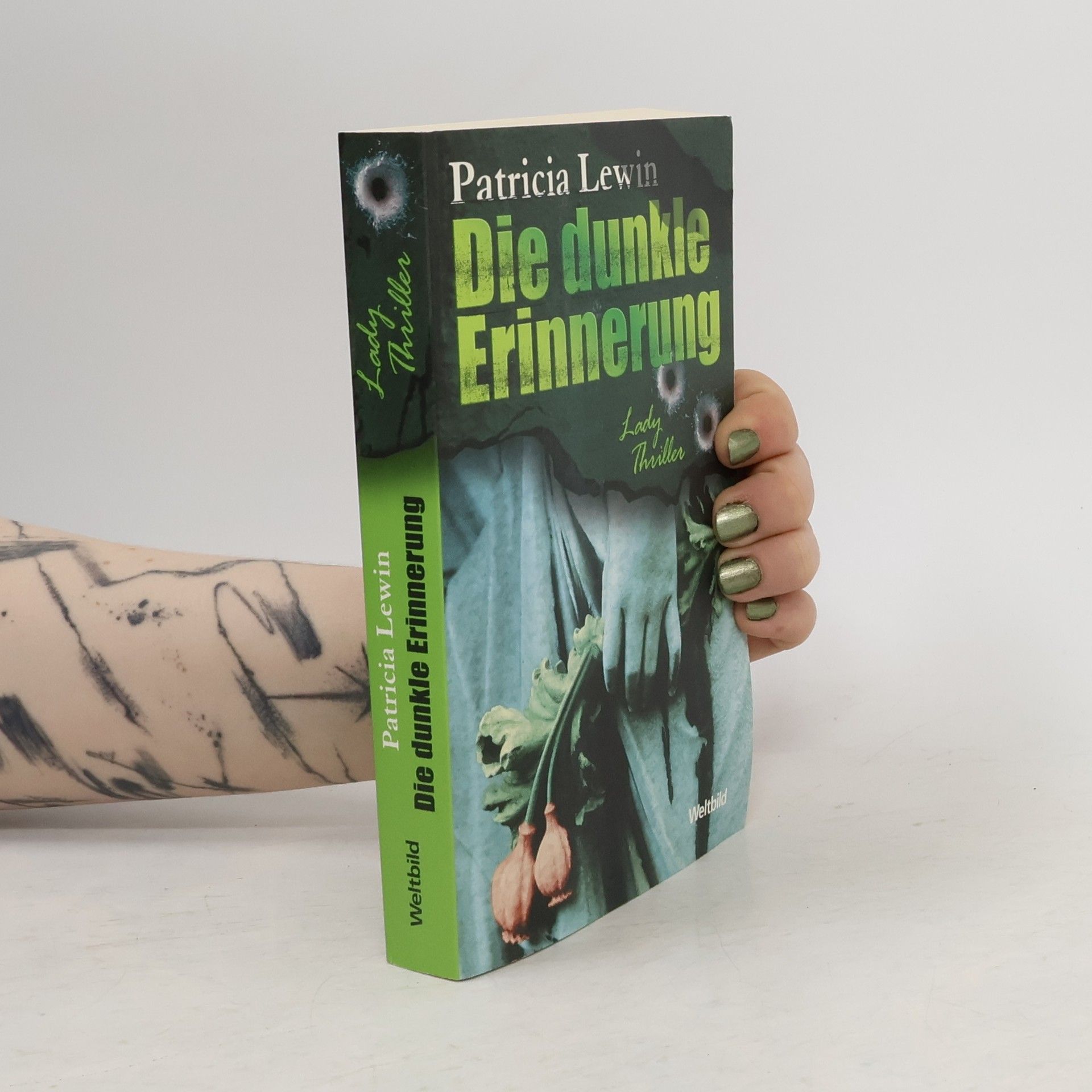 Patricia Lewin Die dunkle Erinnerung