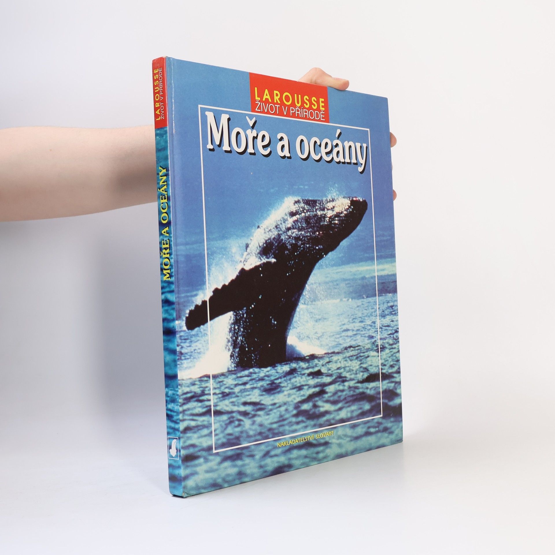 Moře a oceány