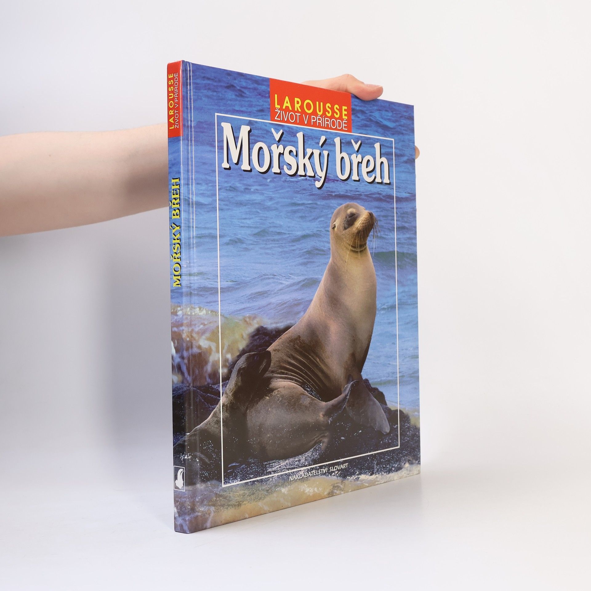 Collectif d'auteurs Mořský břeh