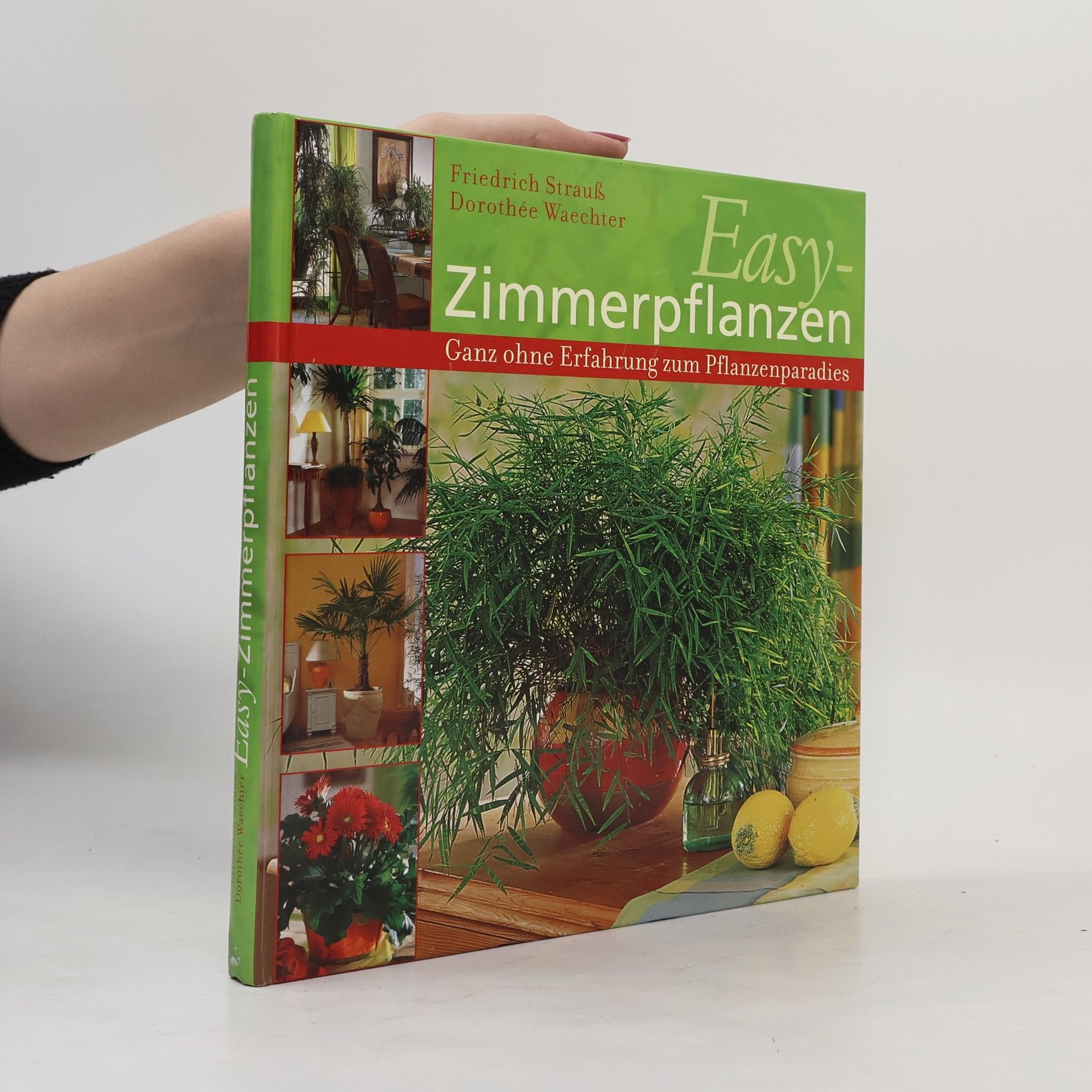 Friedrich Strauß Easy Zimmerpflanzen