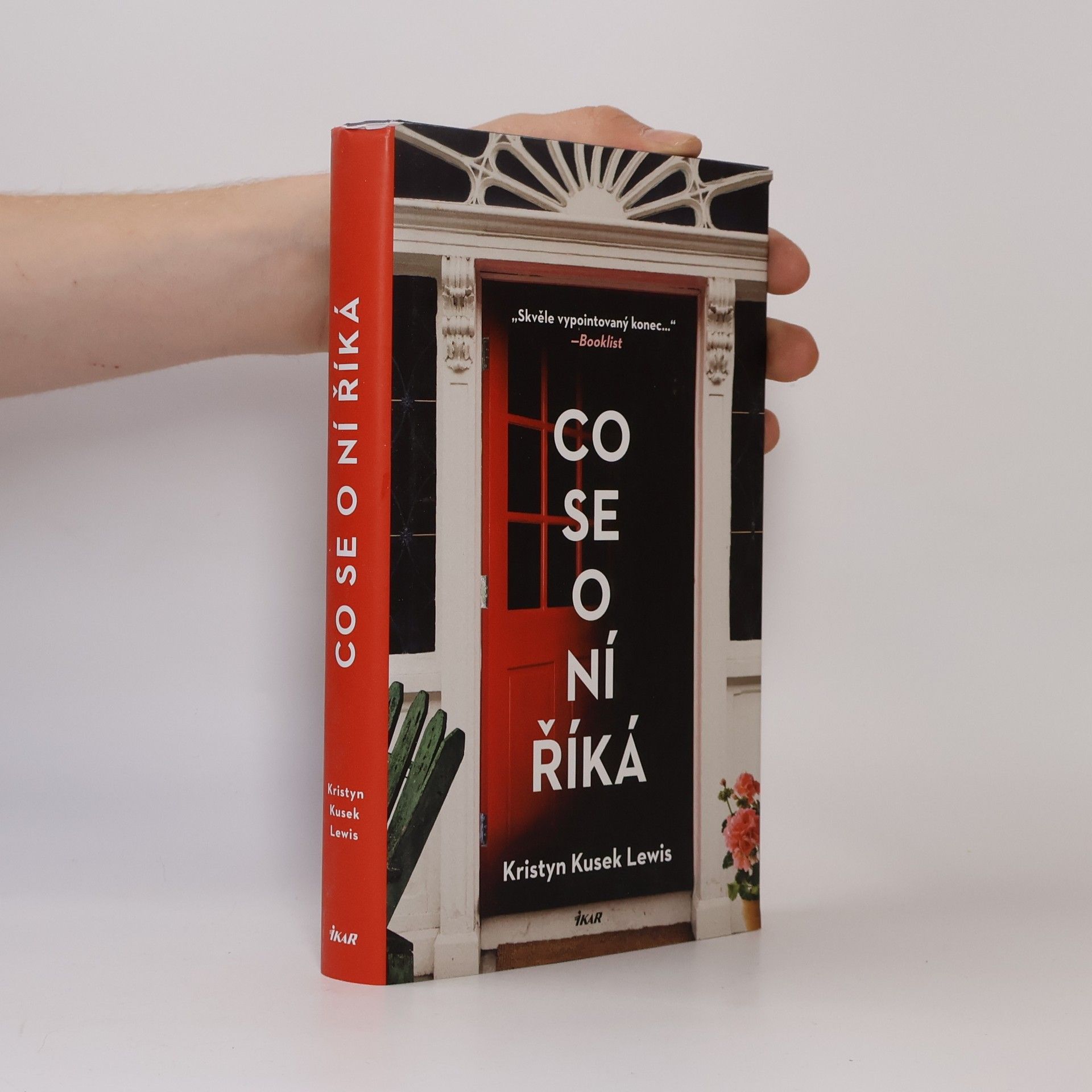 Kristyn Kusek Lewis Co se o ní říká