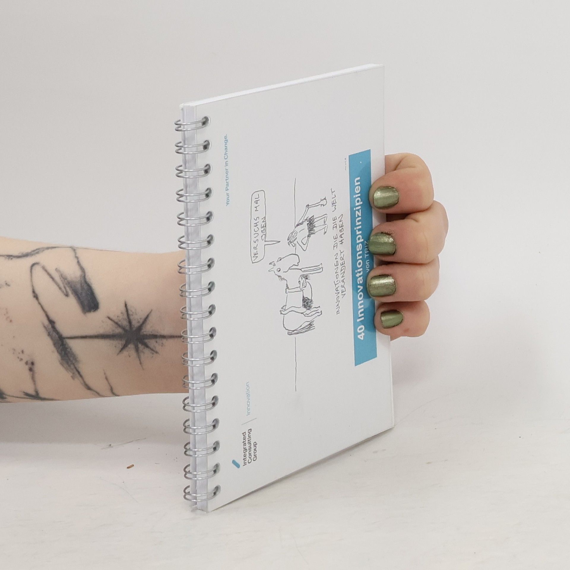 Autorenkollektiv 40 Innovationsprinzipien