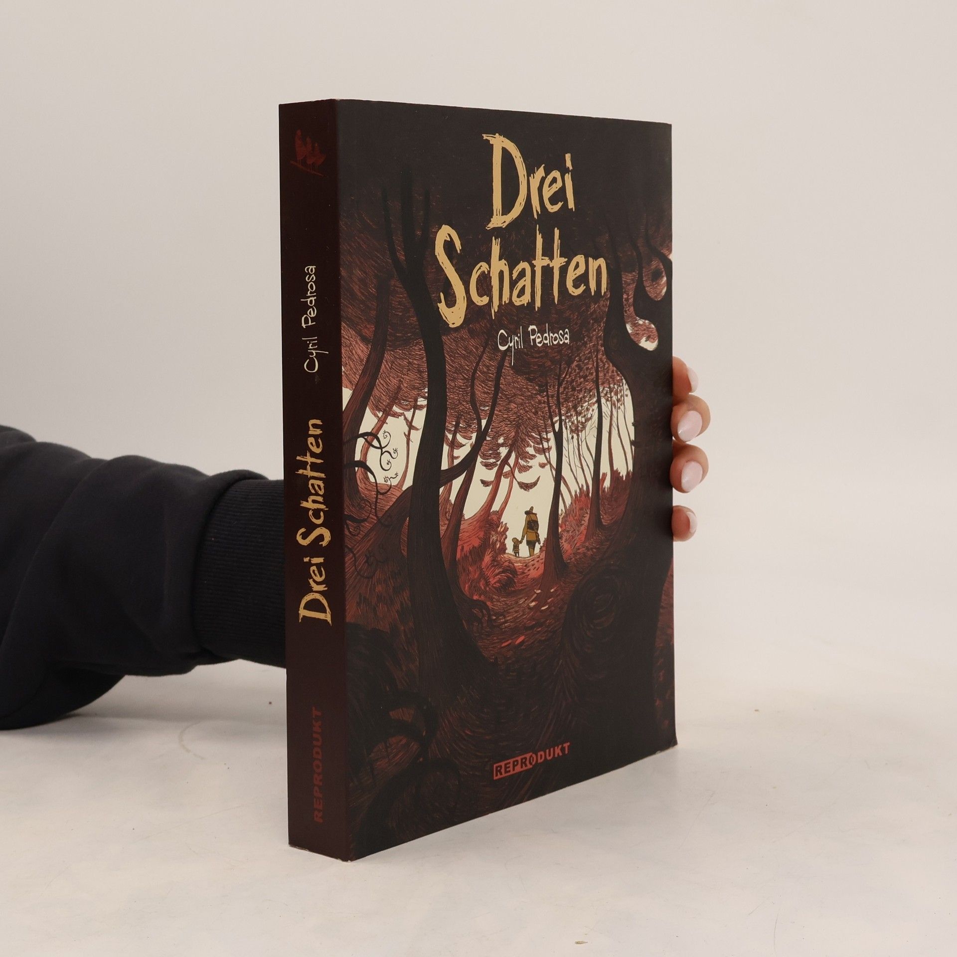 Cyril Pedrosa Drei Schatten