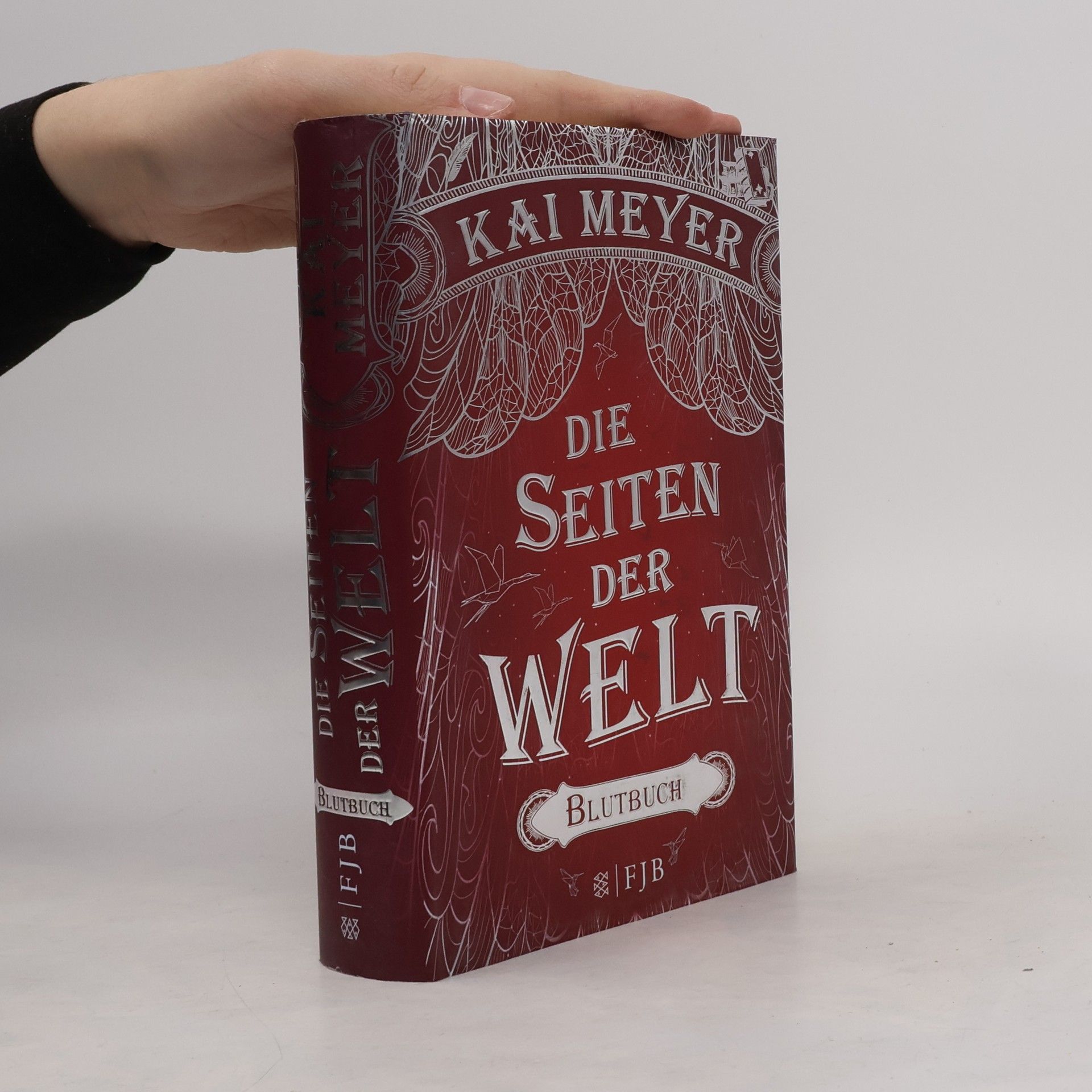 Kai Meyer Die Seiten der Welt - Blutbuch