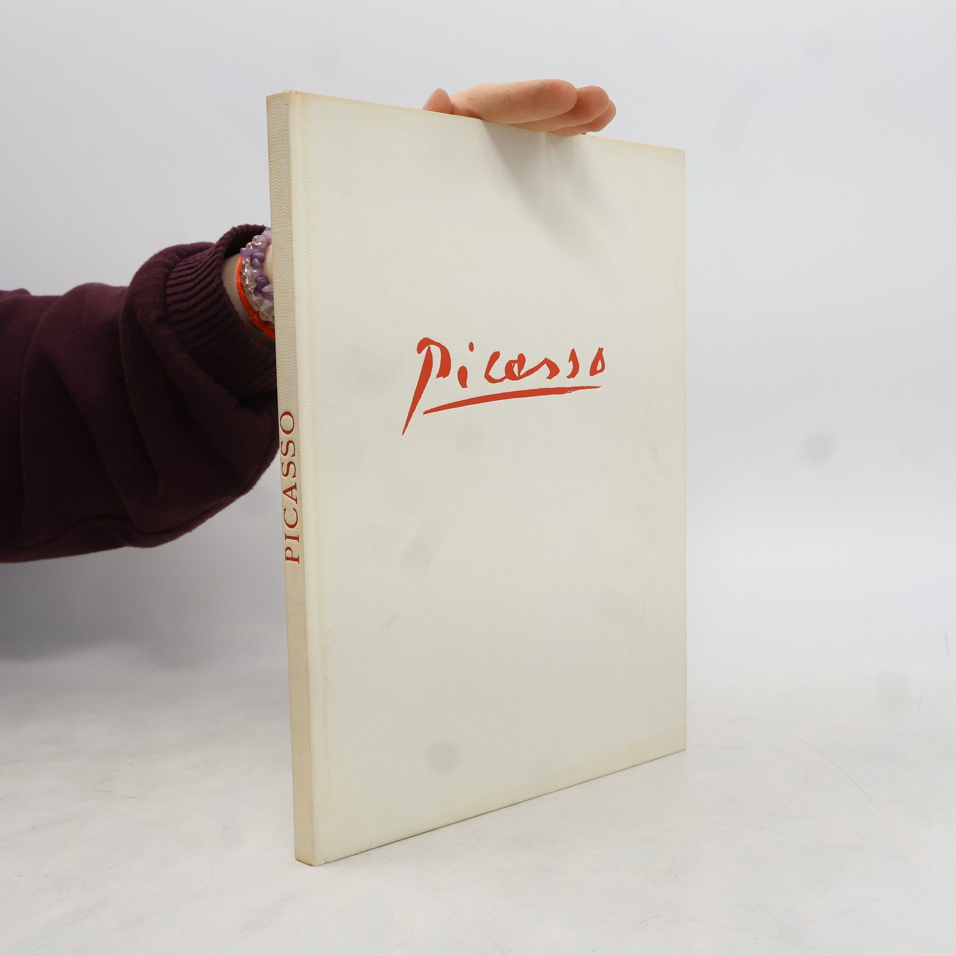 Collectif d'auteurs Picasso