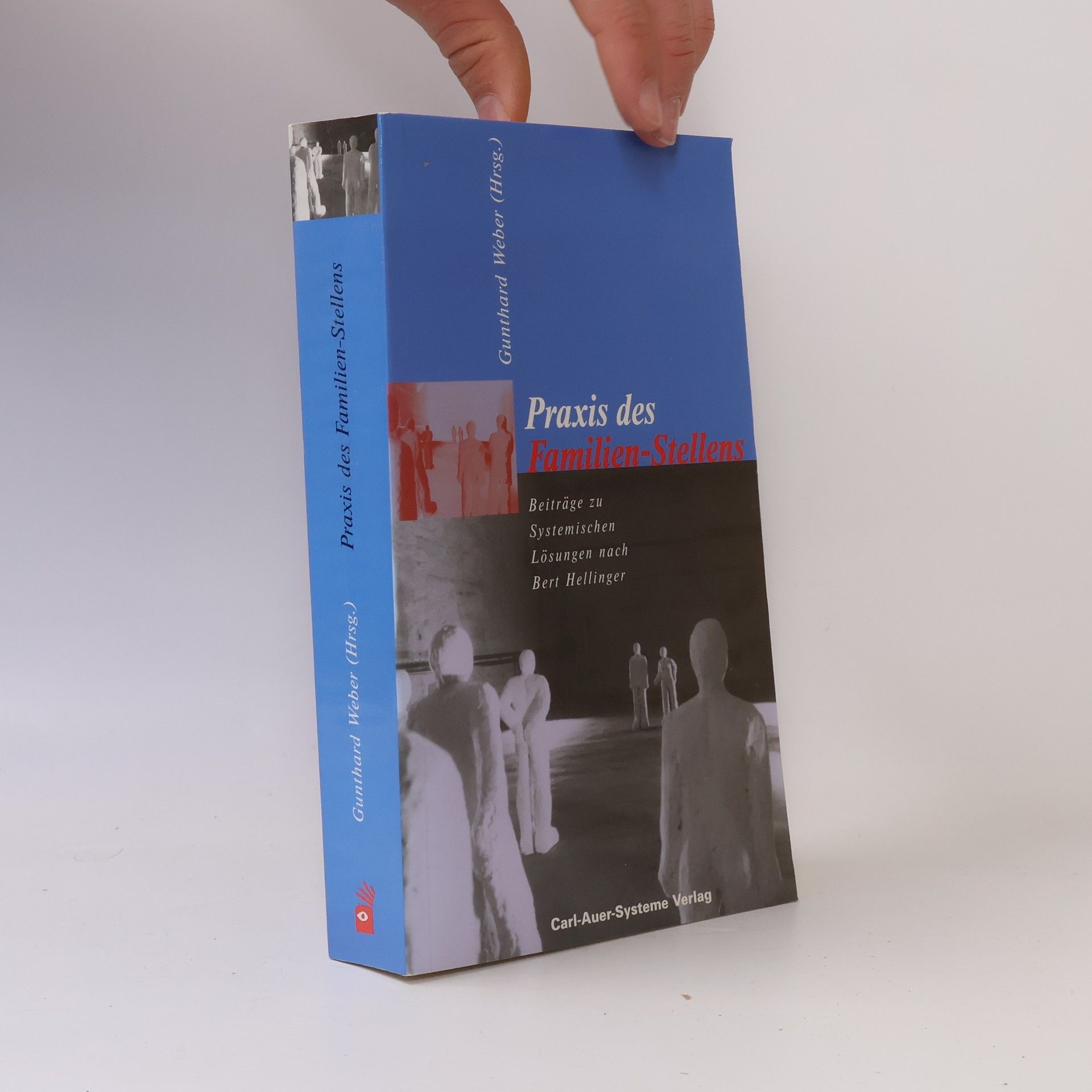 Gunthard Weber Praxis des Familien-Stellens