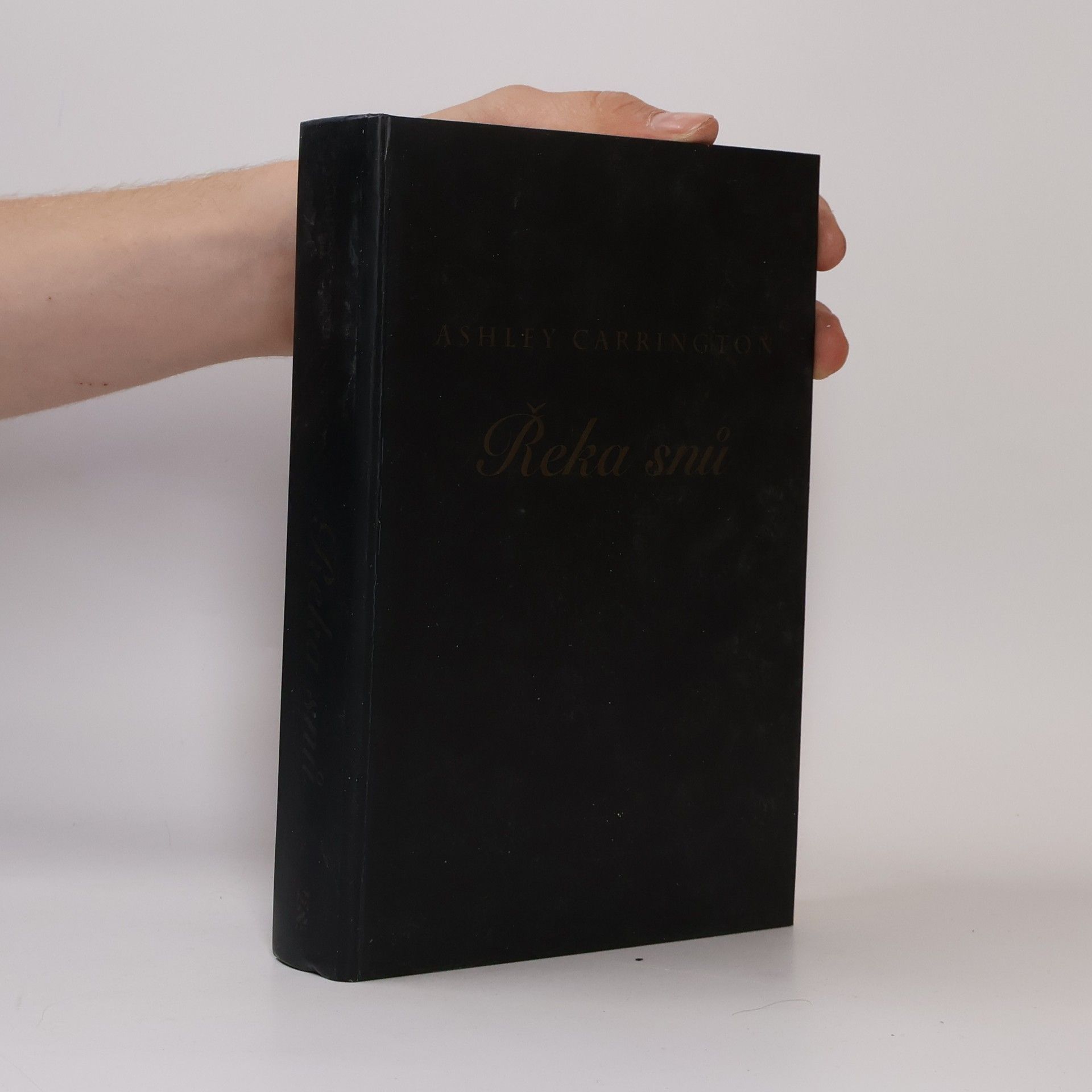 Rainer M. Schröder Řeka snů