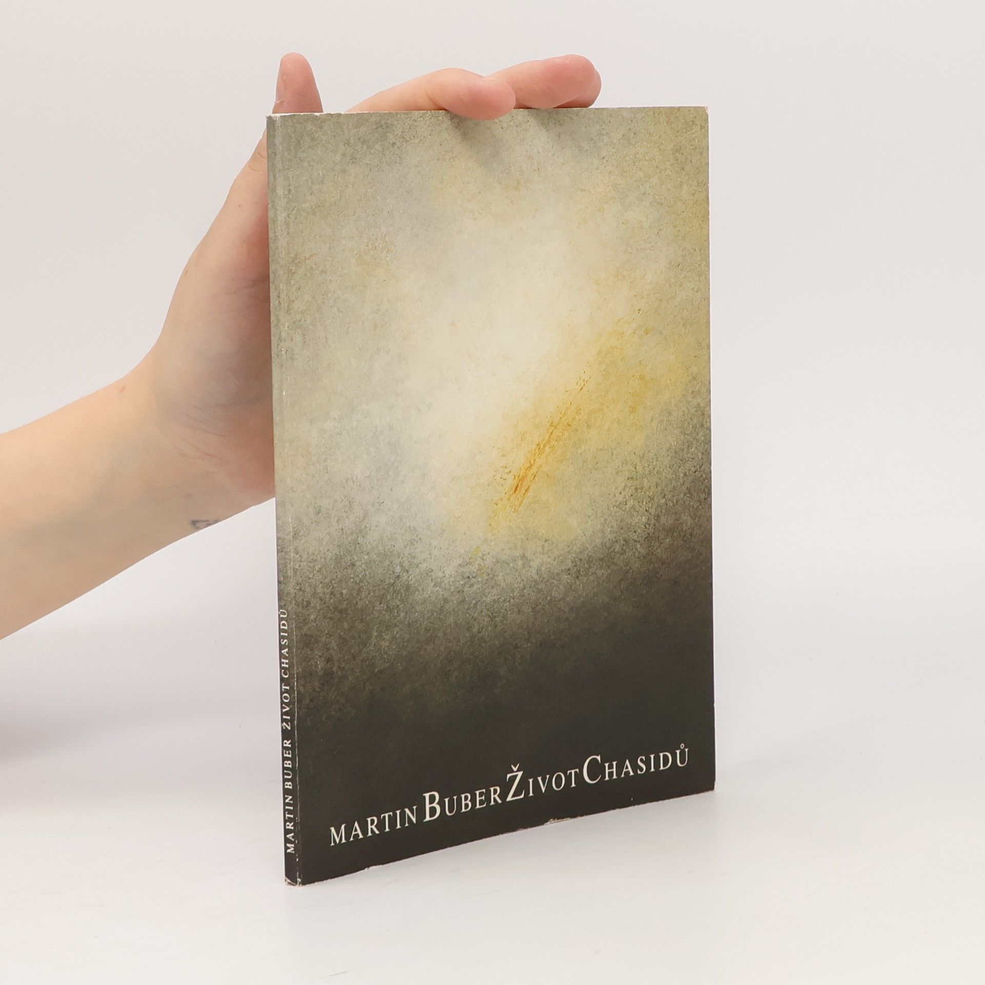 Autorenkollektiv Třetí břeh řeky