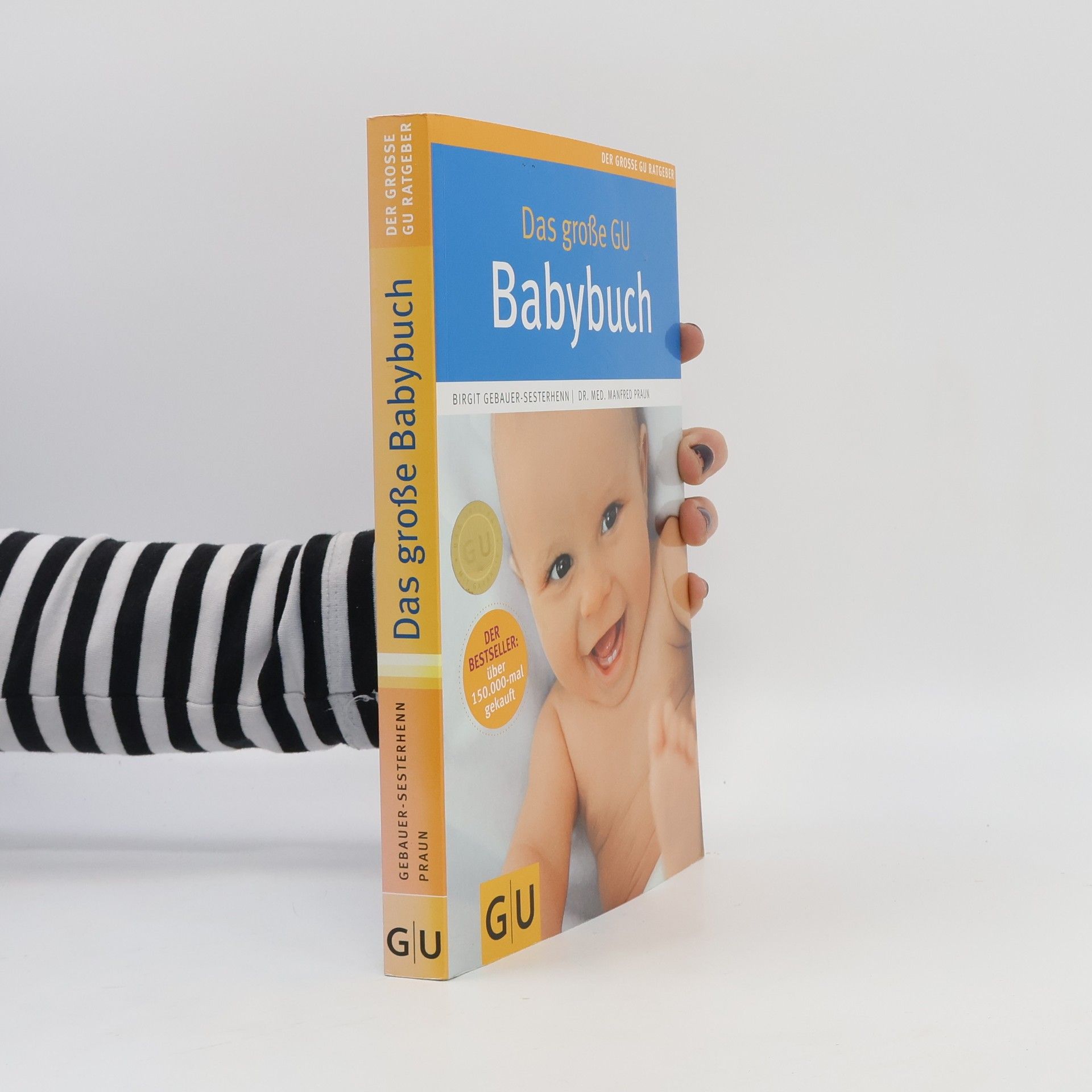 Birgit Sesterhenn Das große GU-Babybuch