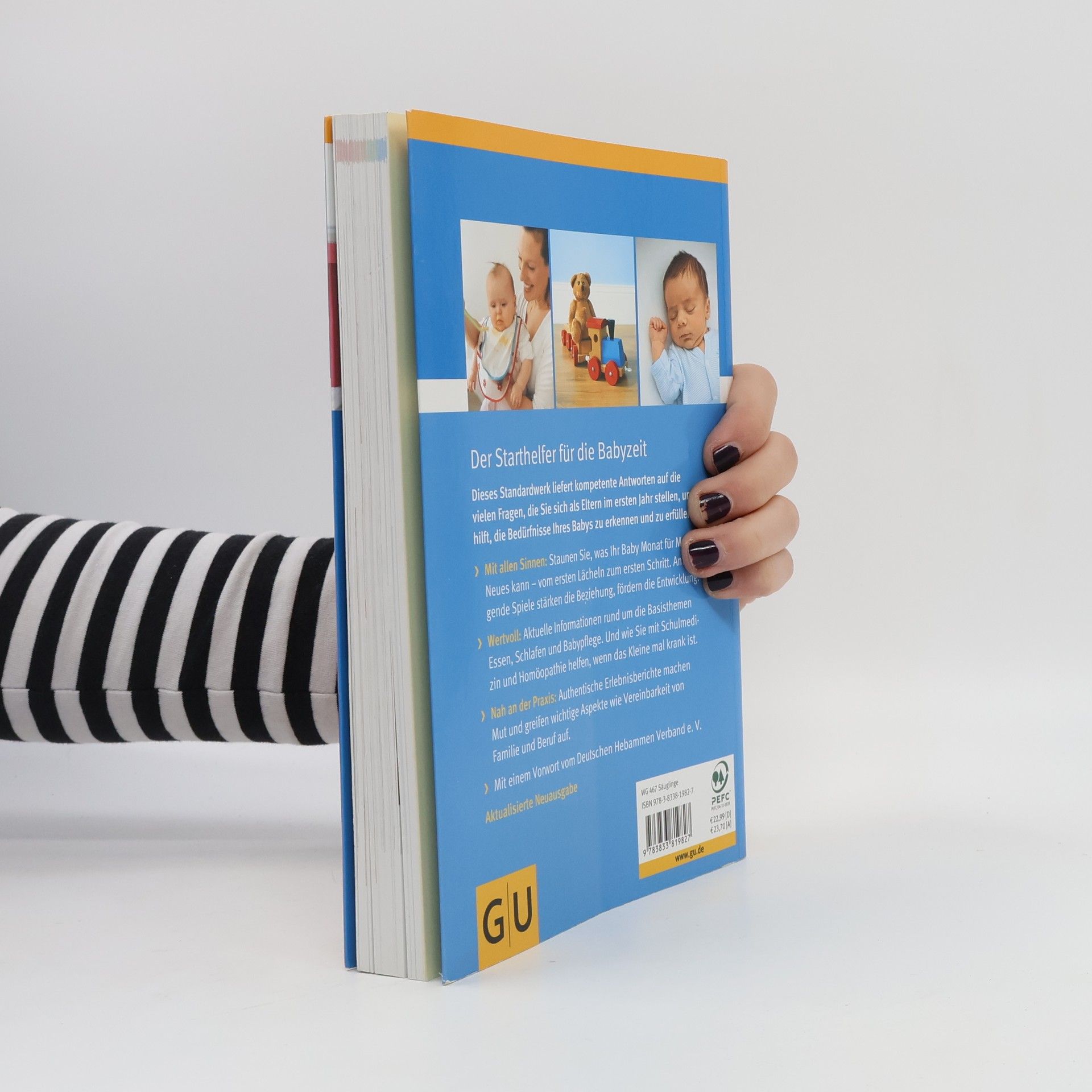 Birgit Sesterhenn Das große GU-Babybuch