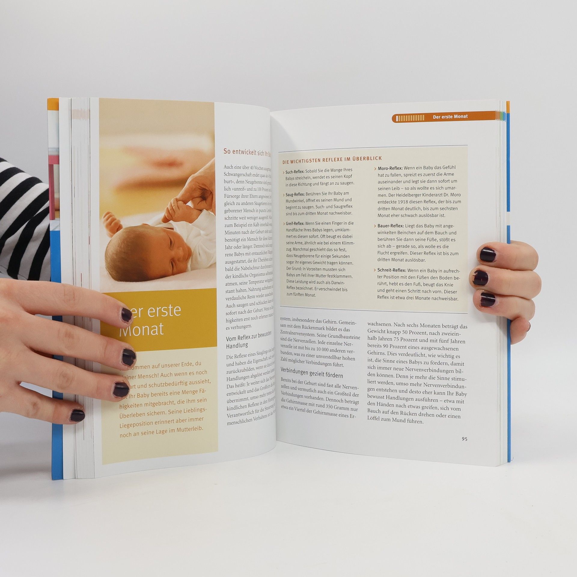 Birgit Sesterhenn Das große GU-Babybuch