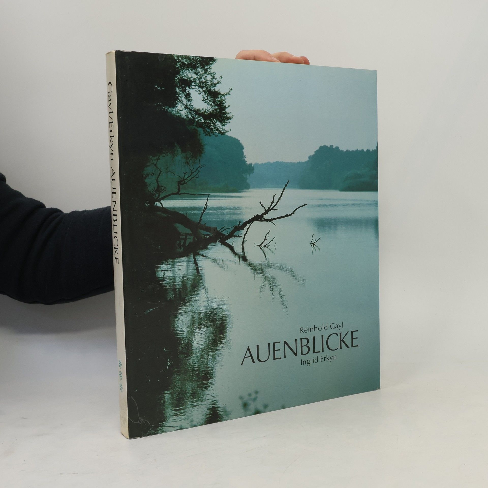 Auenblicke