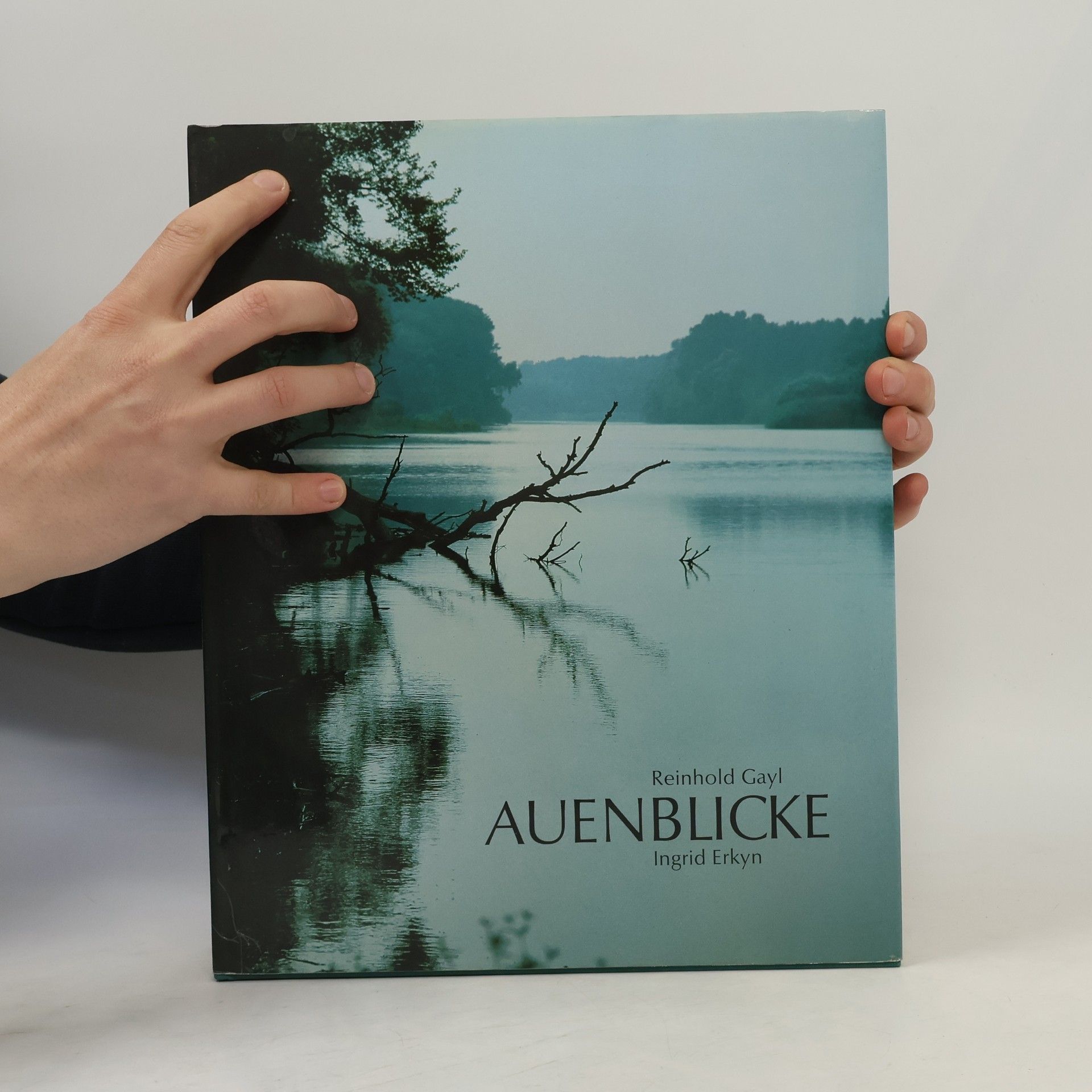 Reinhold Gayl Auenblicke