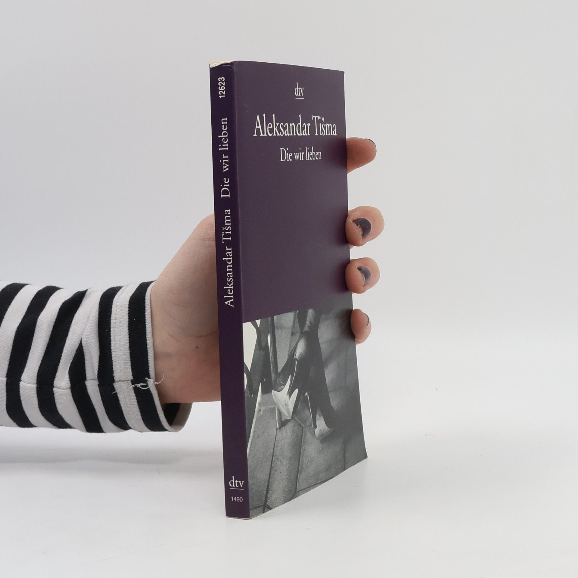 Aleksandar Tišma Die wir lieben