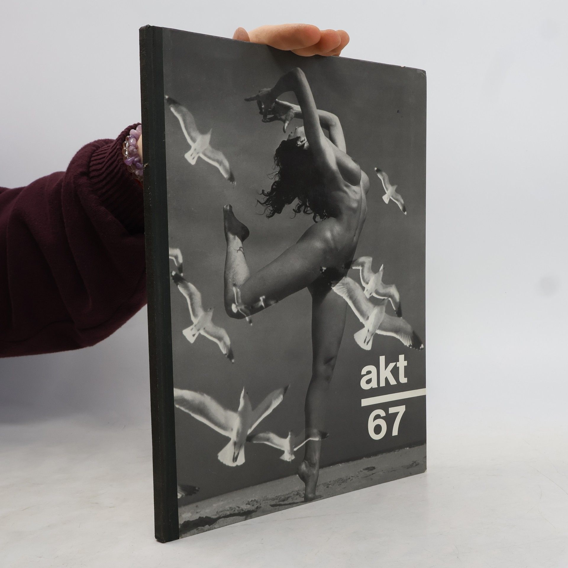 Kolektiv autorů Akt 67