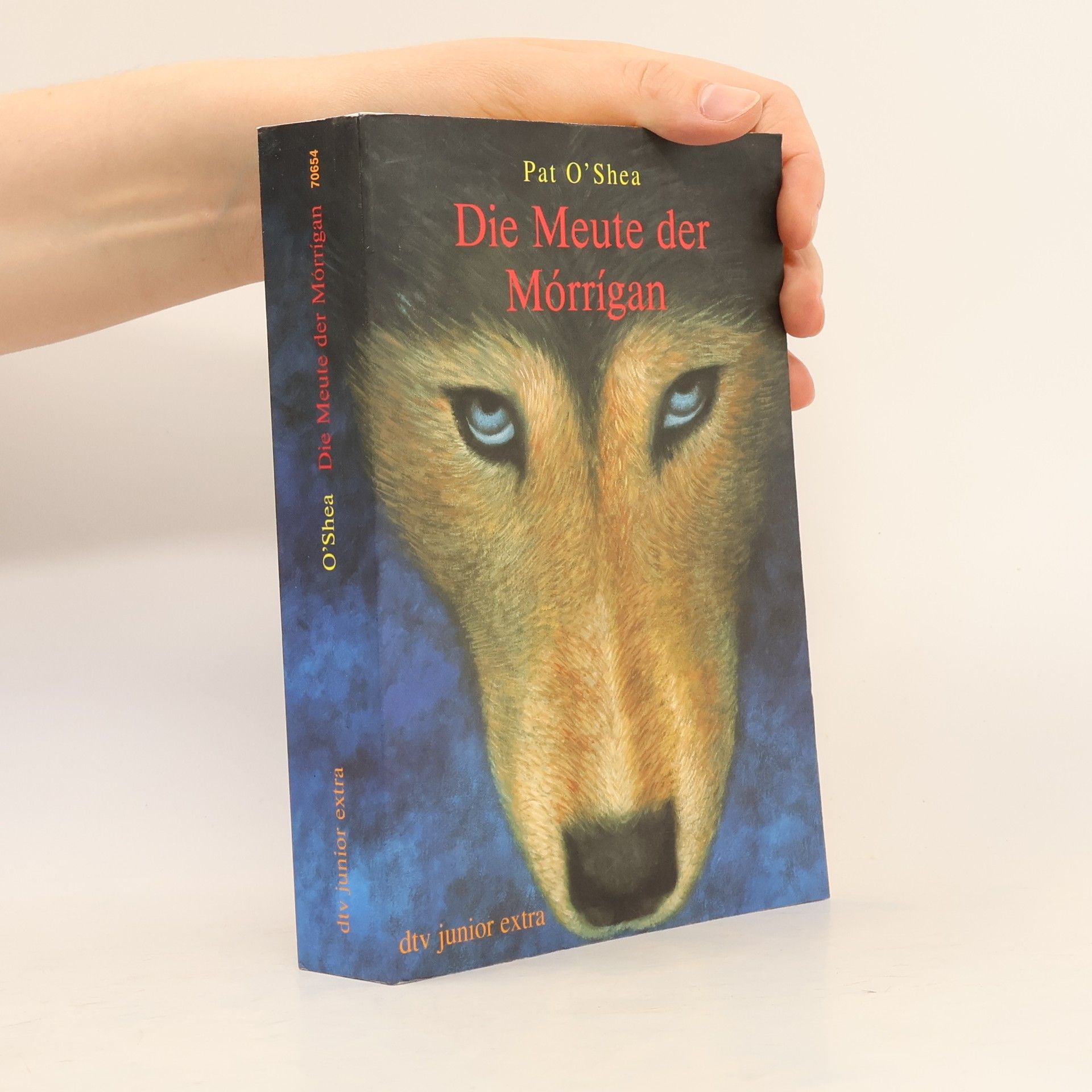 Pat O'Shea Die Meute der Mórrígan