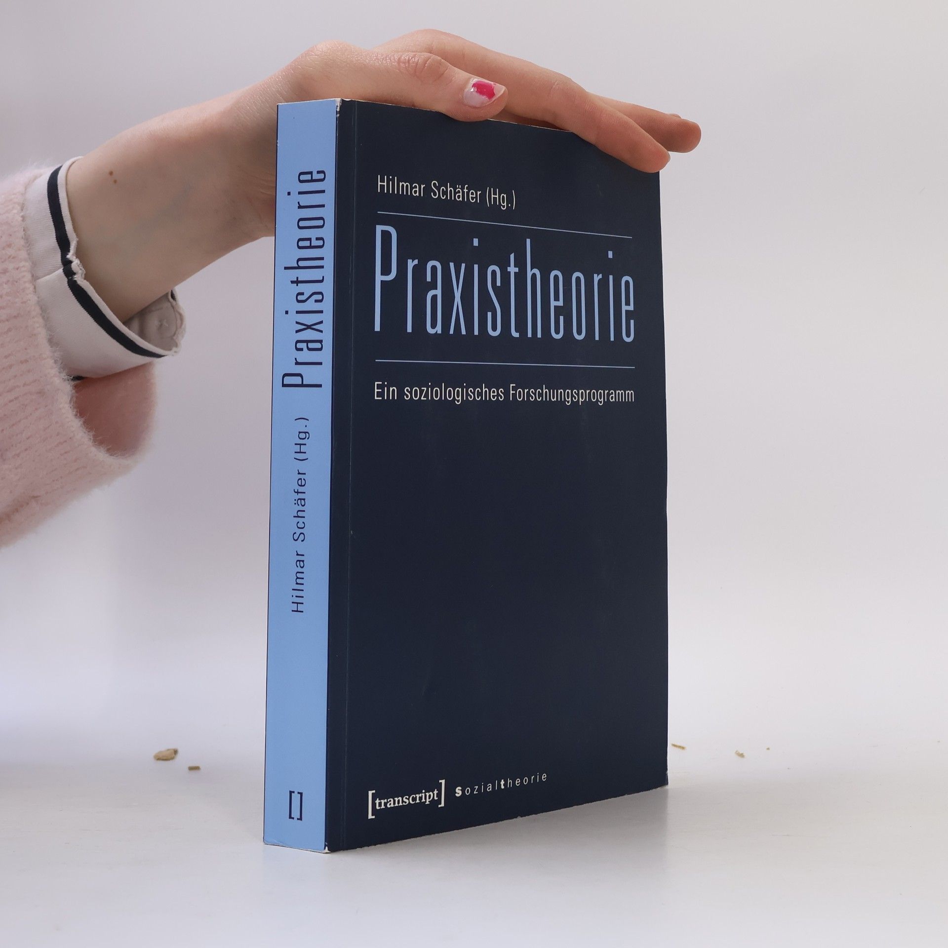 Hilmar Schäfer Sozialtheorie: Praxistheorie