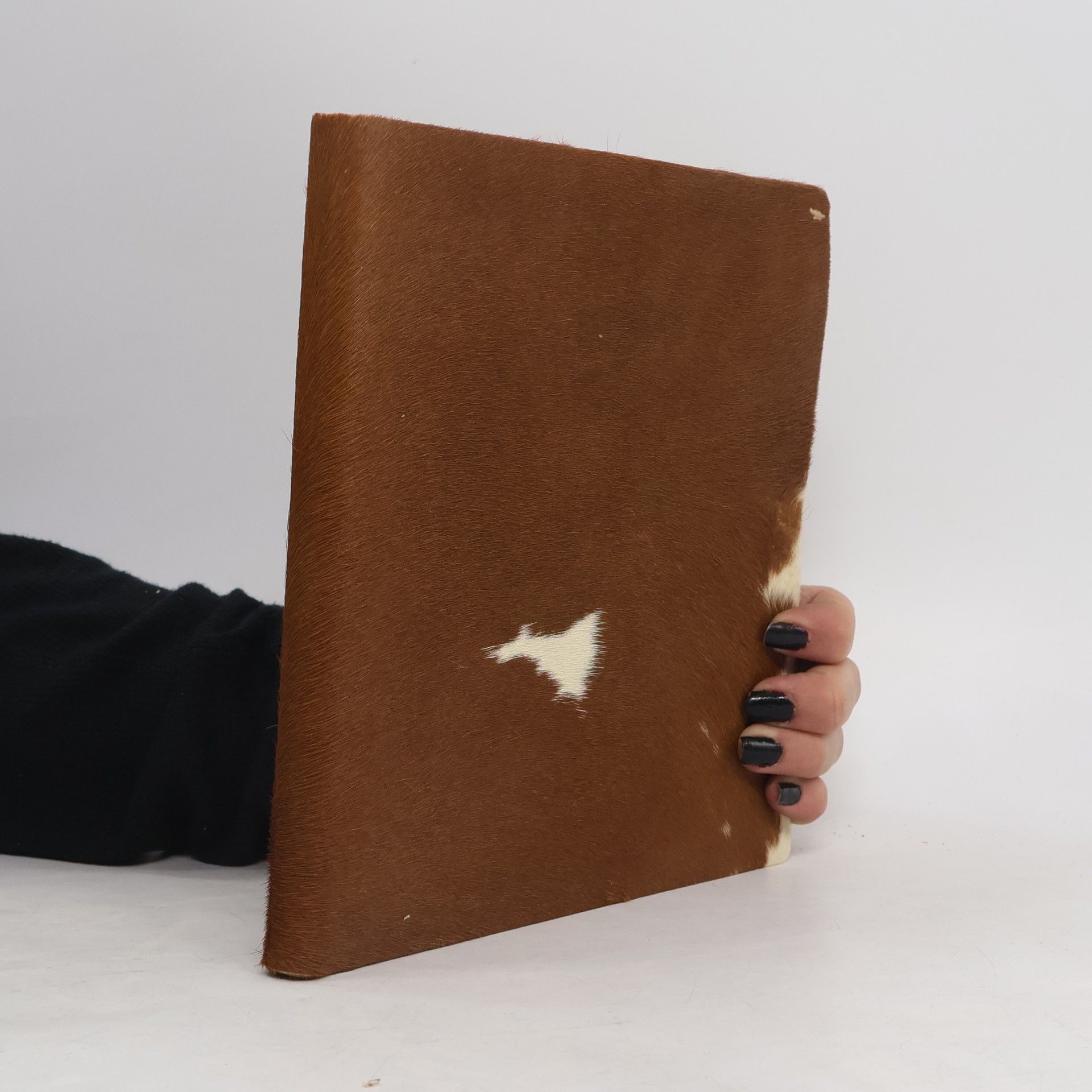 Gustavo Thorlichen La Republica Argentina