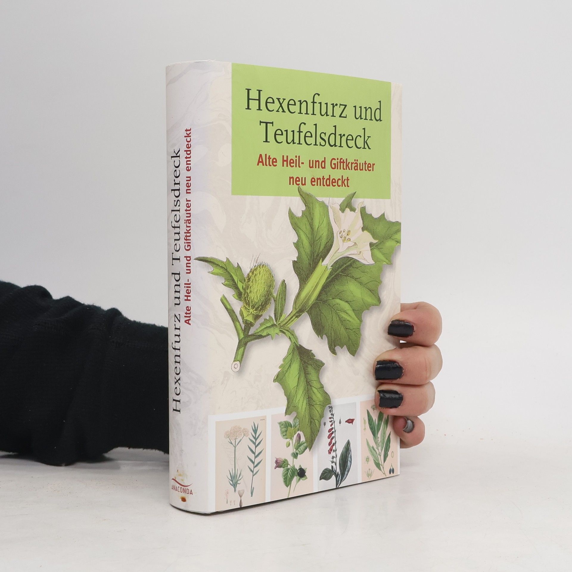 Gerd Haerkötter Hexenfurz und Teufelsdreck