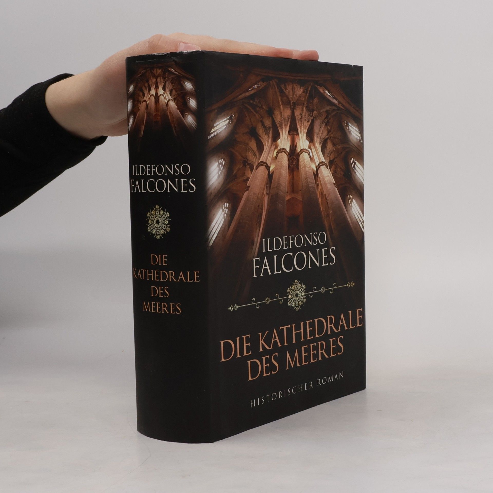 Ildefonso Falcones Die Kathedrale des Meeres