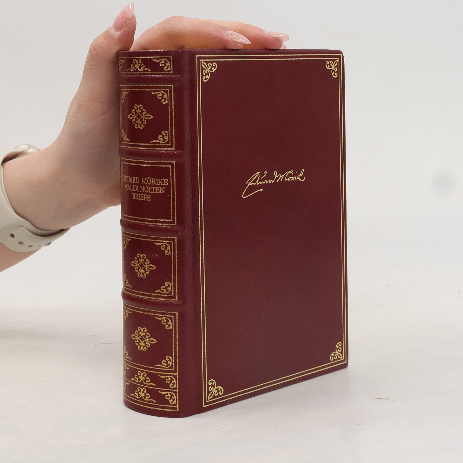 Eduard Mörike Werke und Briefe: Maler Nolten