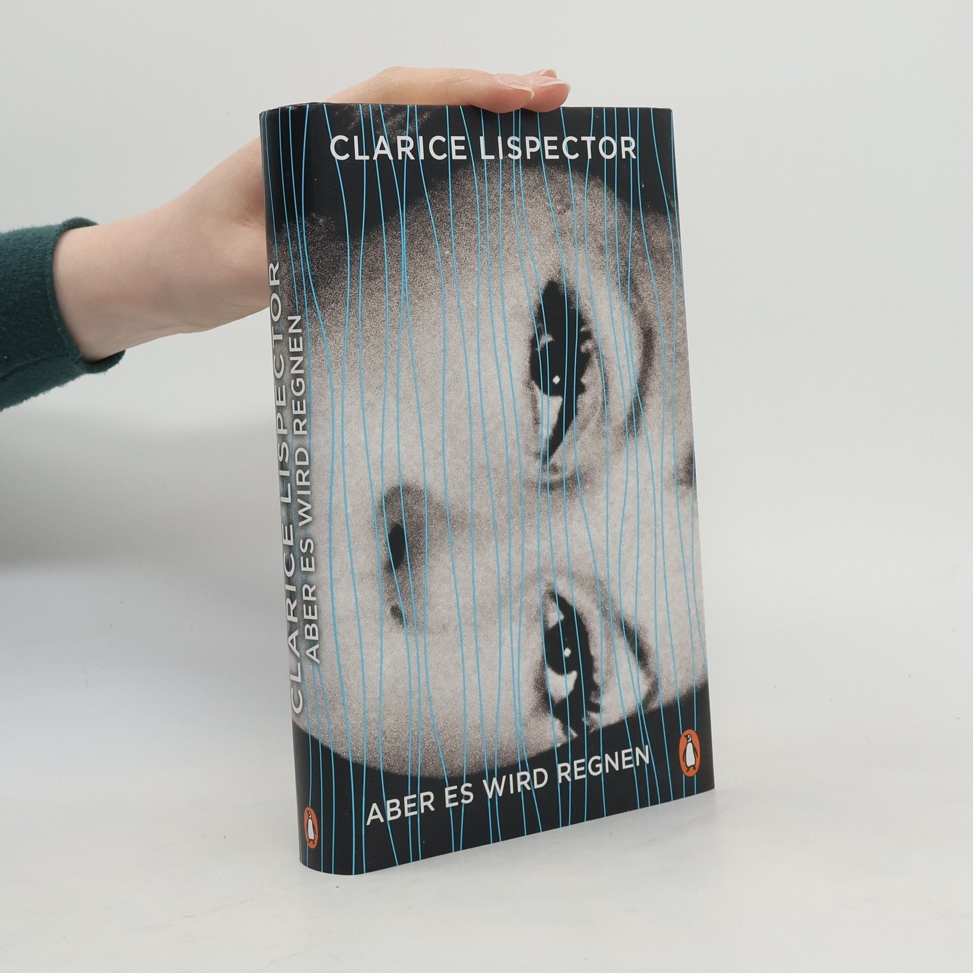 Clarice Lispector Aber es wird regnen