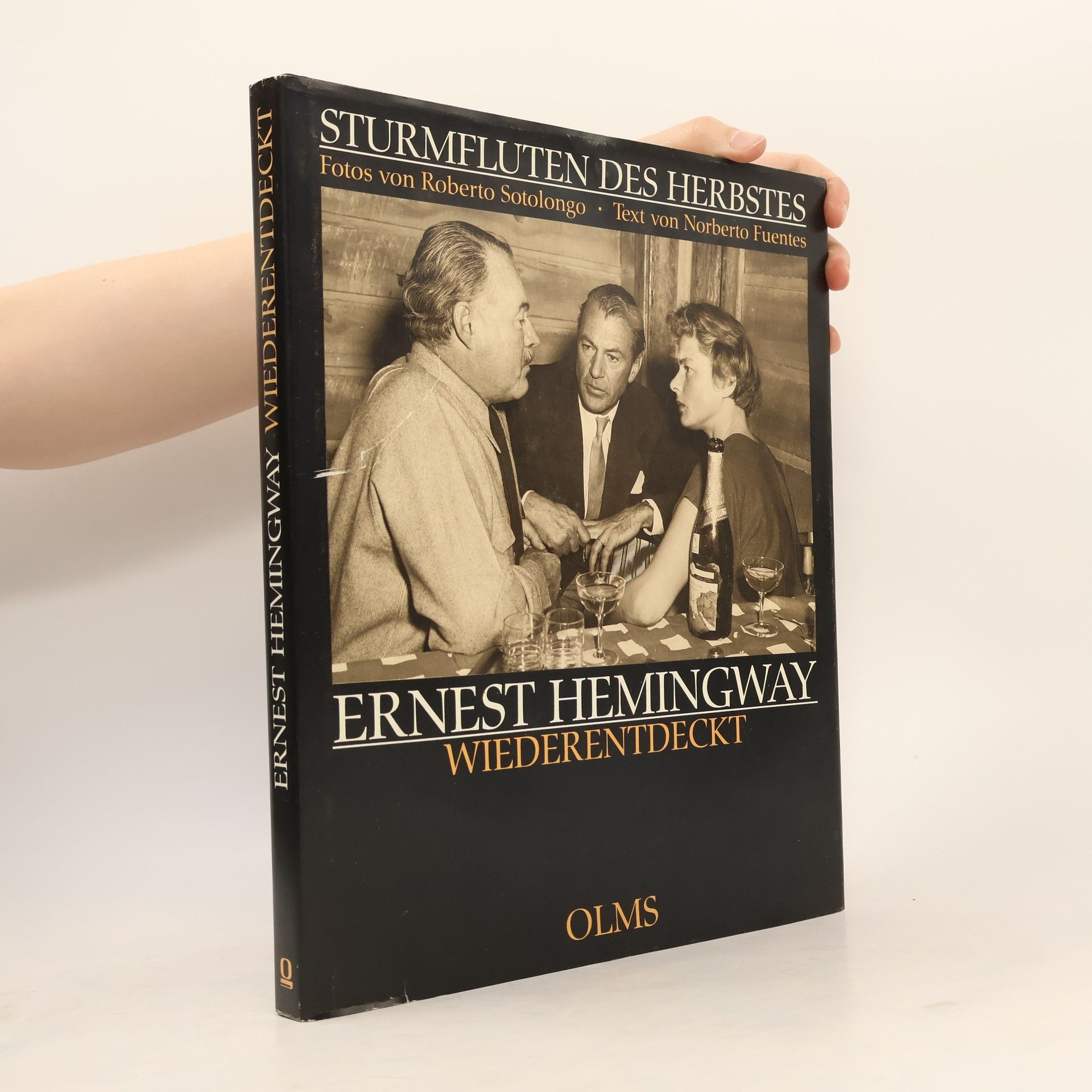 Norberto Fuentes Sturmfluten des Herbstes