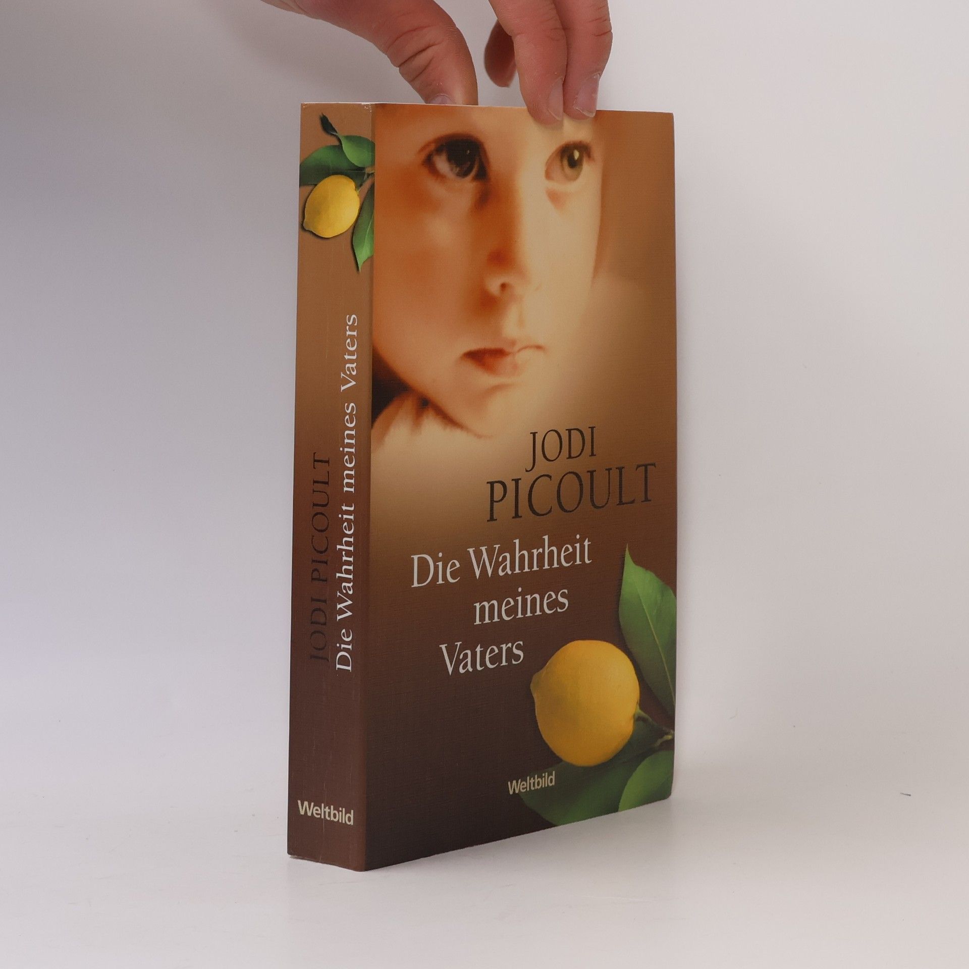 Jodi Picoult Die Wahrheit meines Vaters