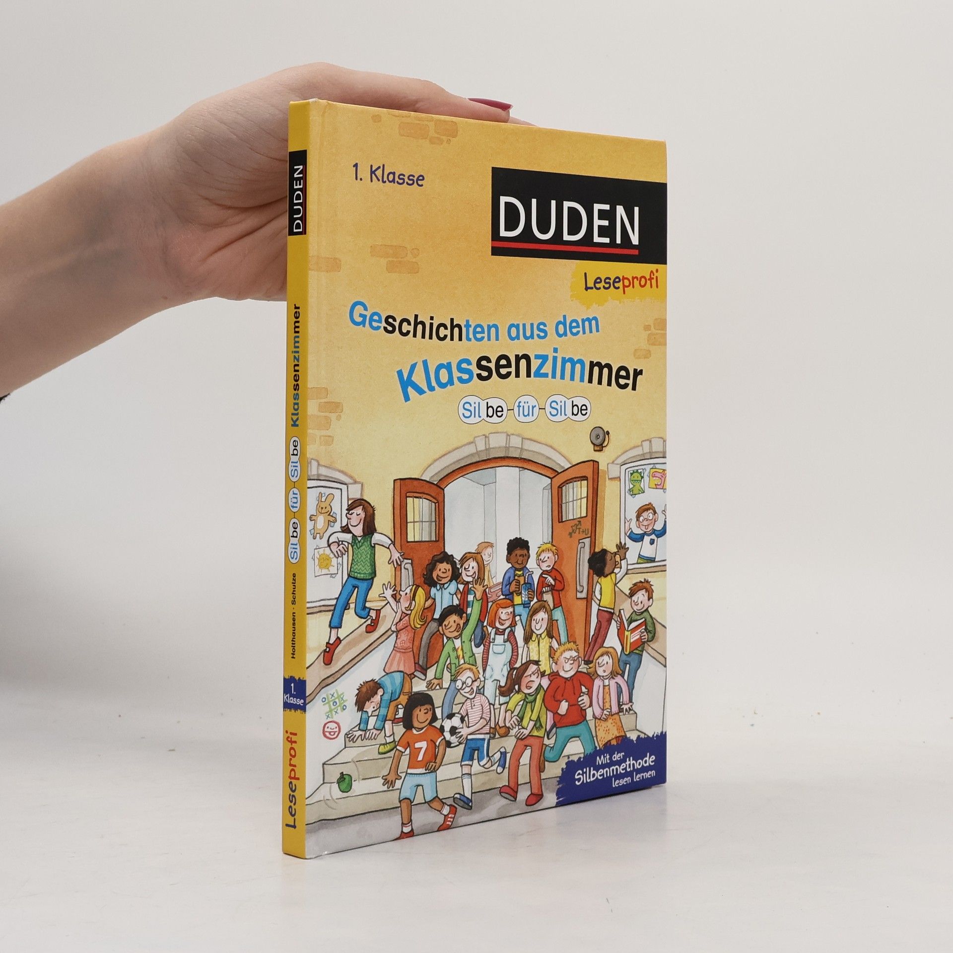 Luise Holthausen Geschichten aus dem Klassenzimmer