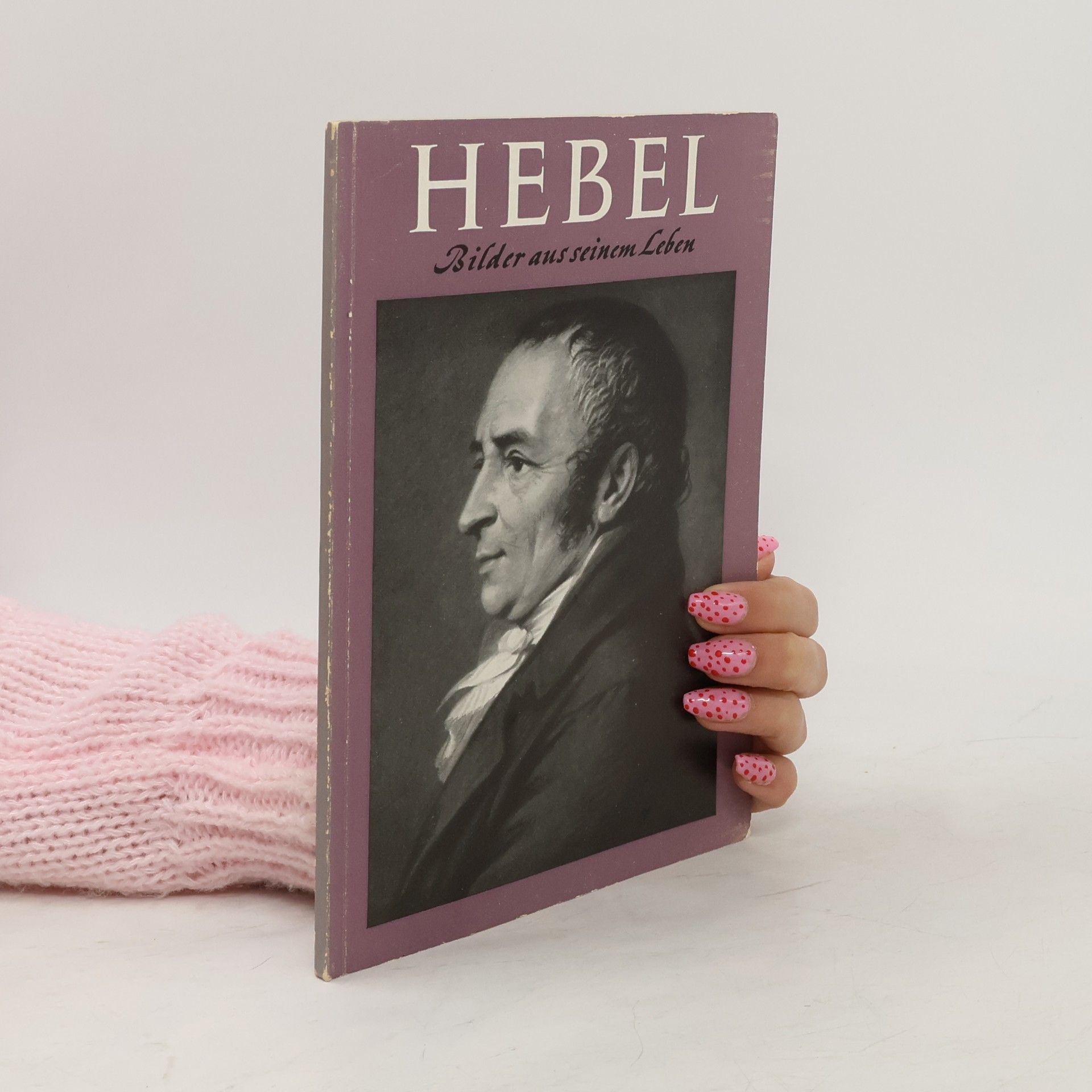 Wilhelm Altwegg Hebel. Bilder aus seinem Leben