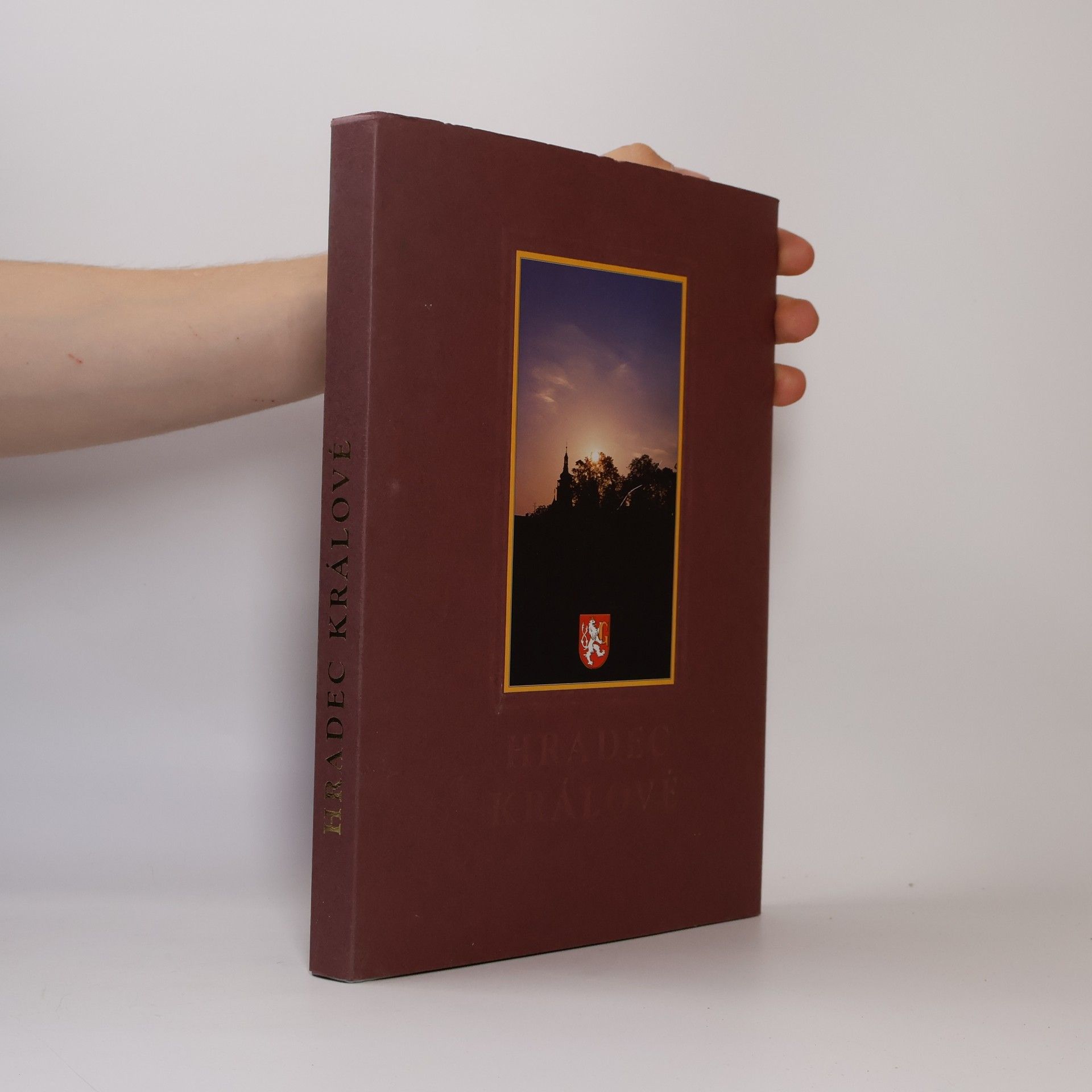 Alexander Hegedüs Hradec Králové : obraz života města v roce 2000