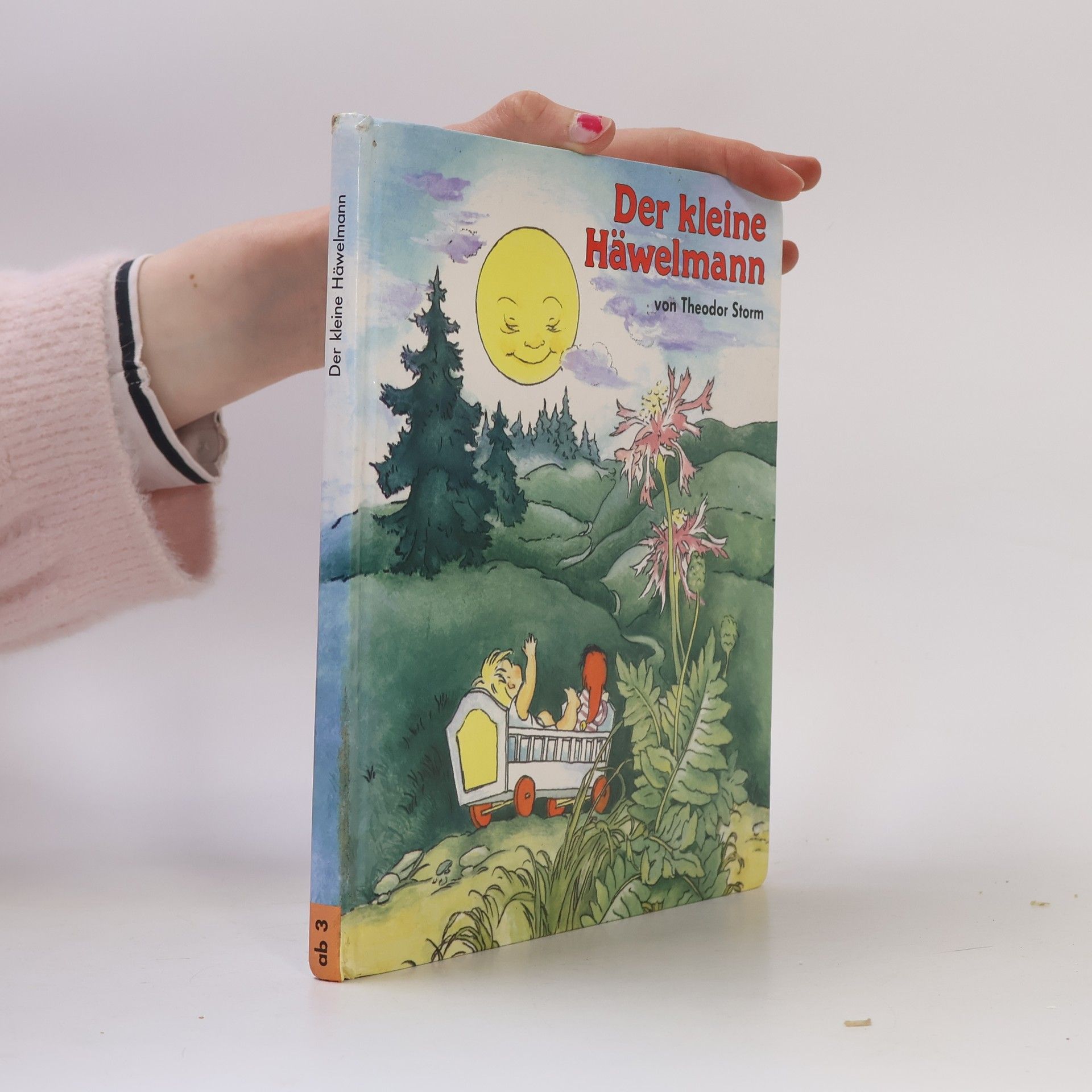 Theodor Storm Der kleine Häwelmann